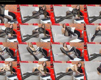 tanya_welth — 78 minute Chaturbate female cam show recording, 720p, Apr 2, 2019