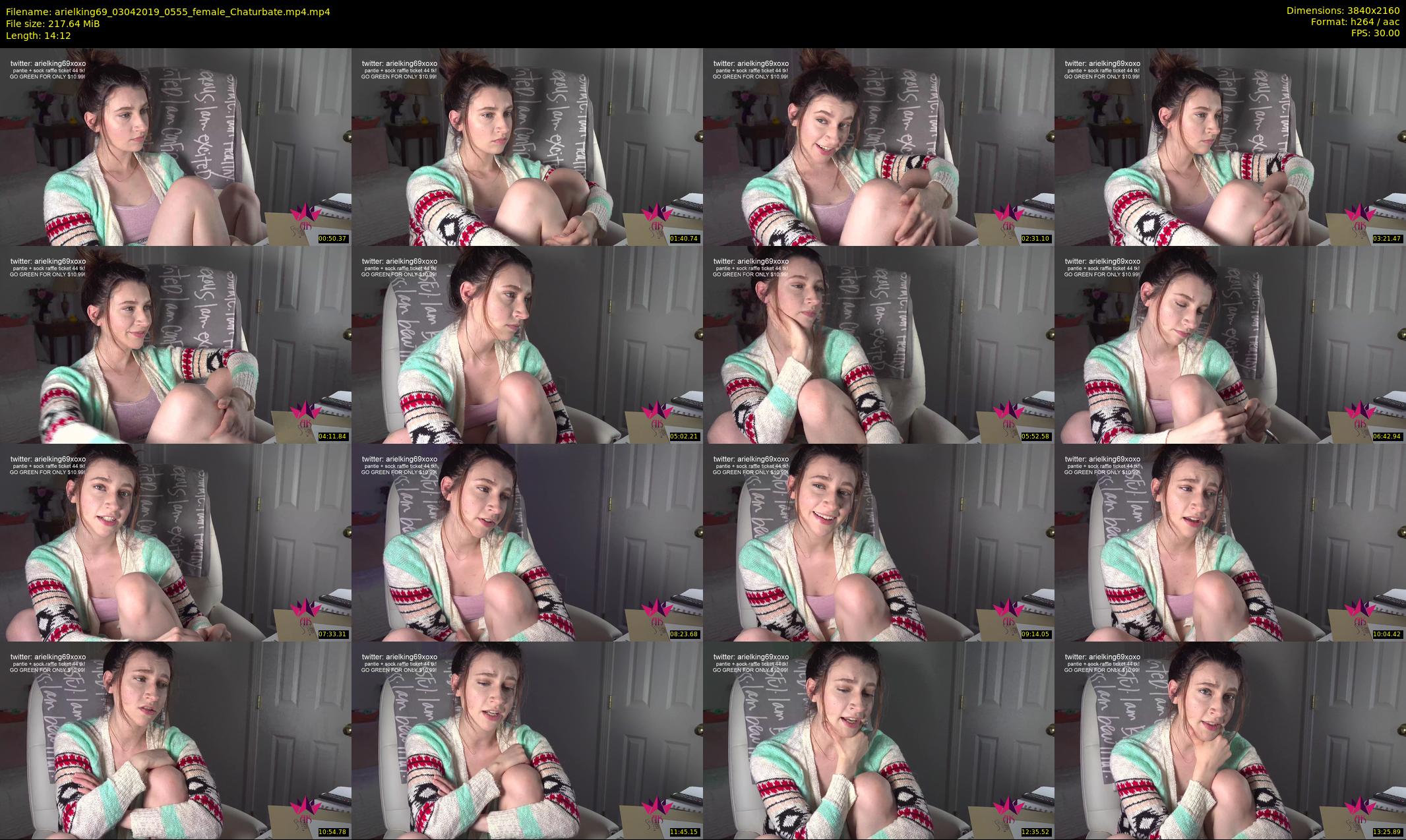 arielking69 — 15 minute Chaturbate female cam show recording, 4K, Apr 3, 2019