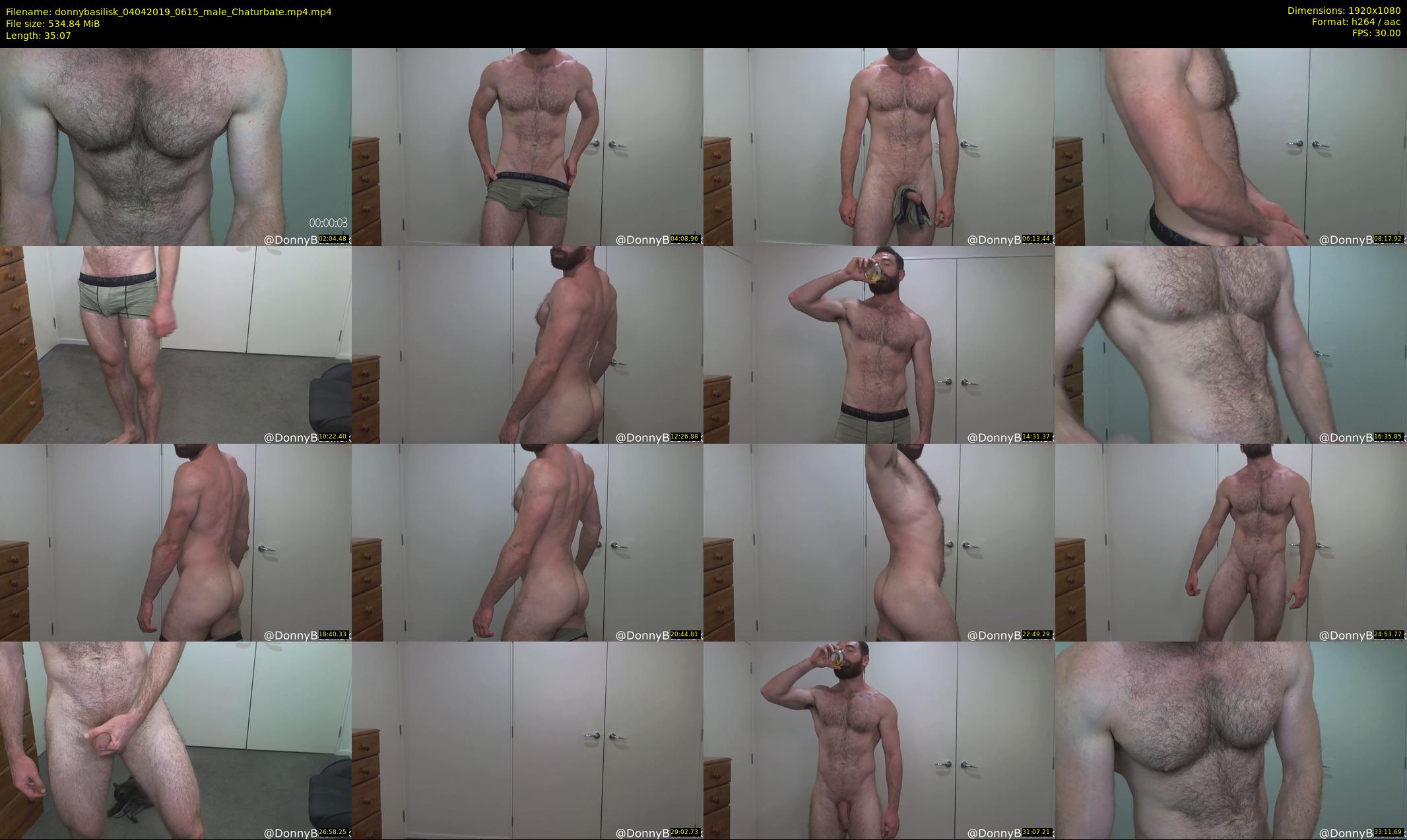 donnybasilisk — 36 minute Chaturbate male cam show recording, 1080p, Apr 4, 2019