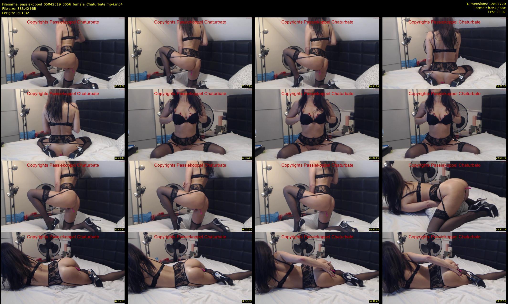 passiekoppel — 62 minute Chaturbate couple cam show recording, 720p, Apr 5, 2019