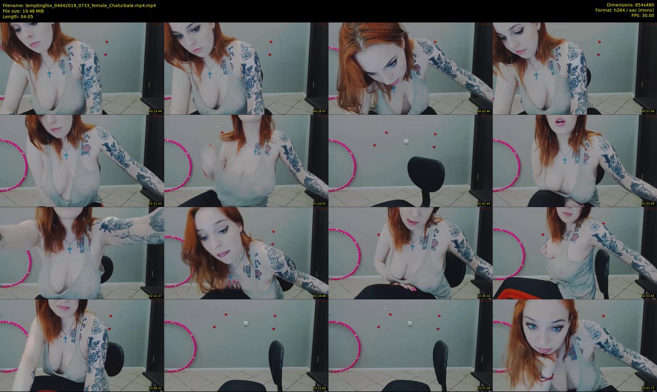 temptingfox — 5 minute Chaturbate female cam show recording, 480p, Apr 4, 2019