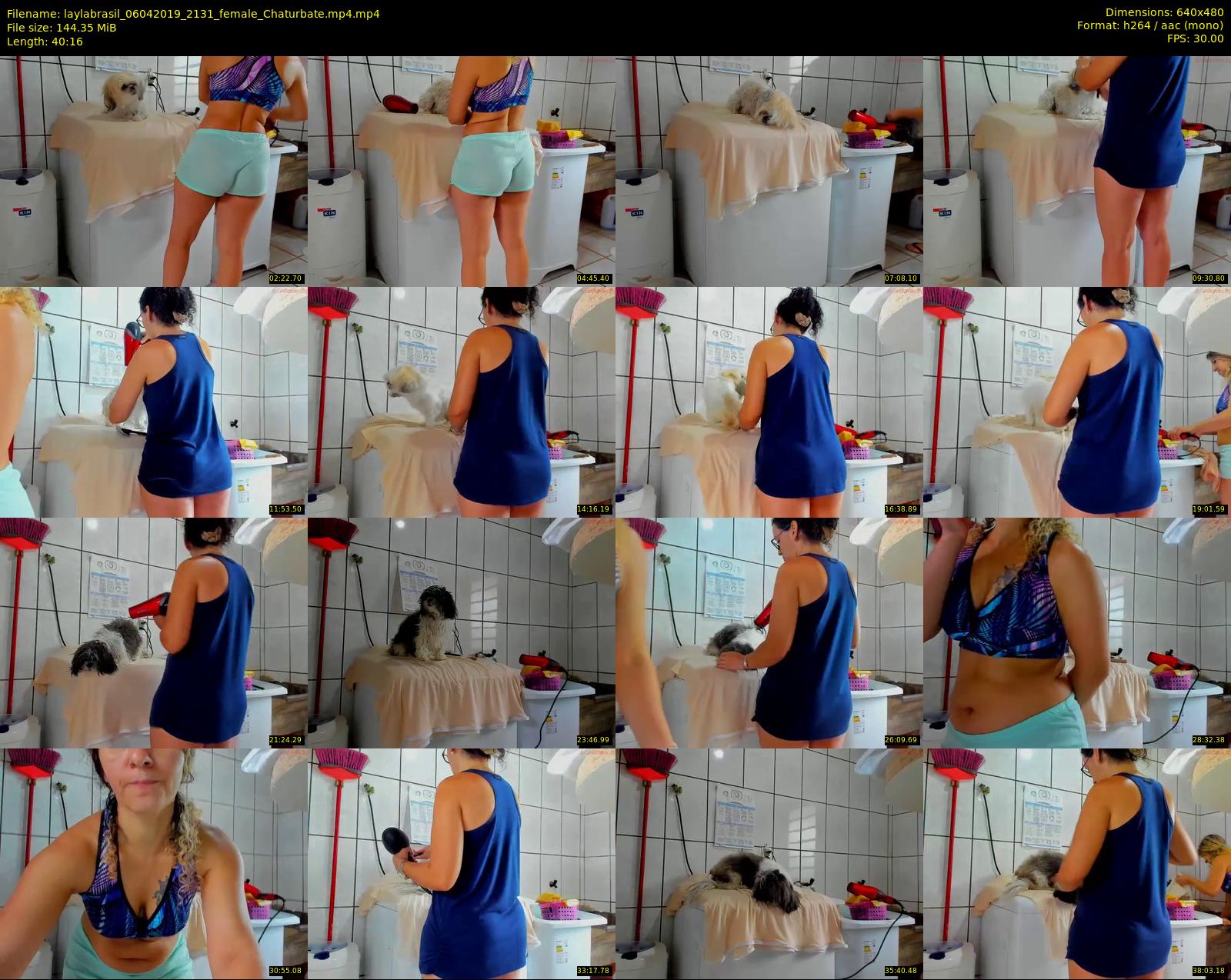 laylabrasil — 41 minute Chaturbate female cam show recording, 480p, Apr 6, 2019