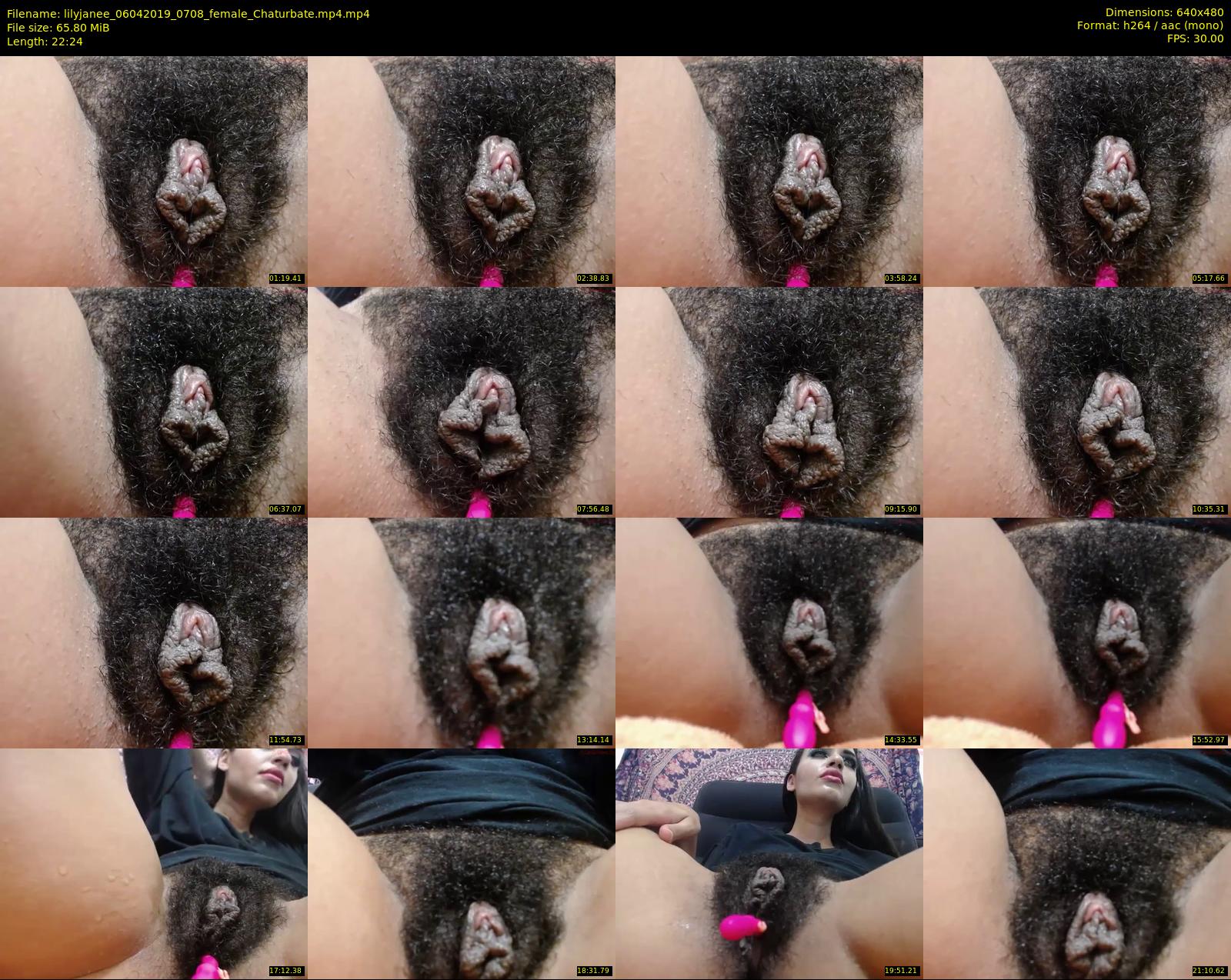 lilyjanee — 23 minute Chaturbate female cam show recording, 480p, Apr 6, 2019