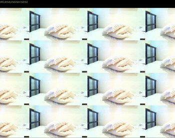 swanprincess — 17 minute Chaturbate female cam show recording, 720p, Apr 6, 2019