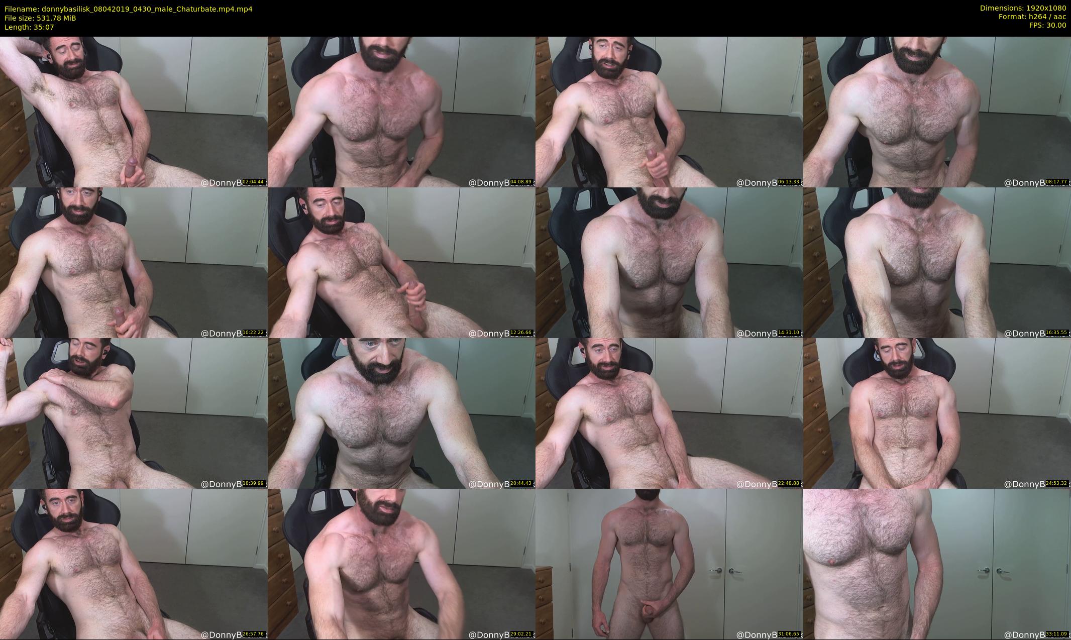 donnybasilisk — 36 minute Chaturbate male cam show recording, 1080p, Apr 8, 2019