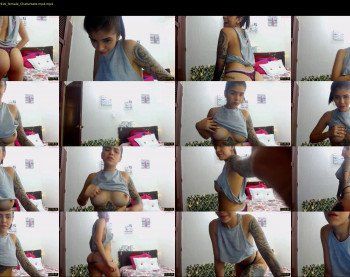 pk2secretxx — 24 minute Chaturbate female cam show recording, 480p, Apr 9, 2019