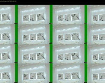 blondiebetsy — 26 minute Chaturbate female cam show recording, 720p, Apr 10, 2019