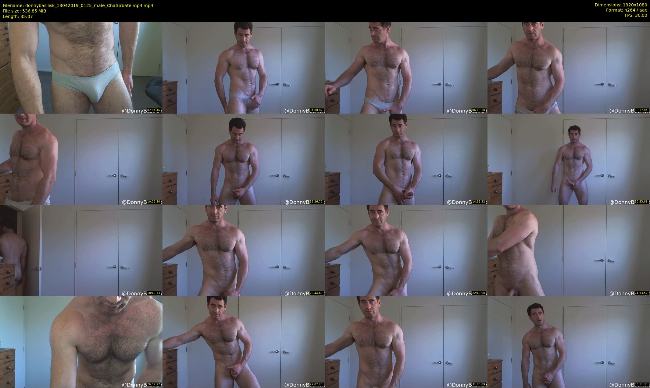 donnybasilisk — 36 minute Chaturbate male cam show recording, 1080p, Apr 13, 2019