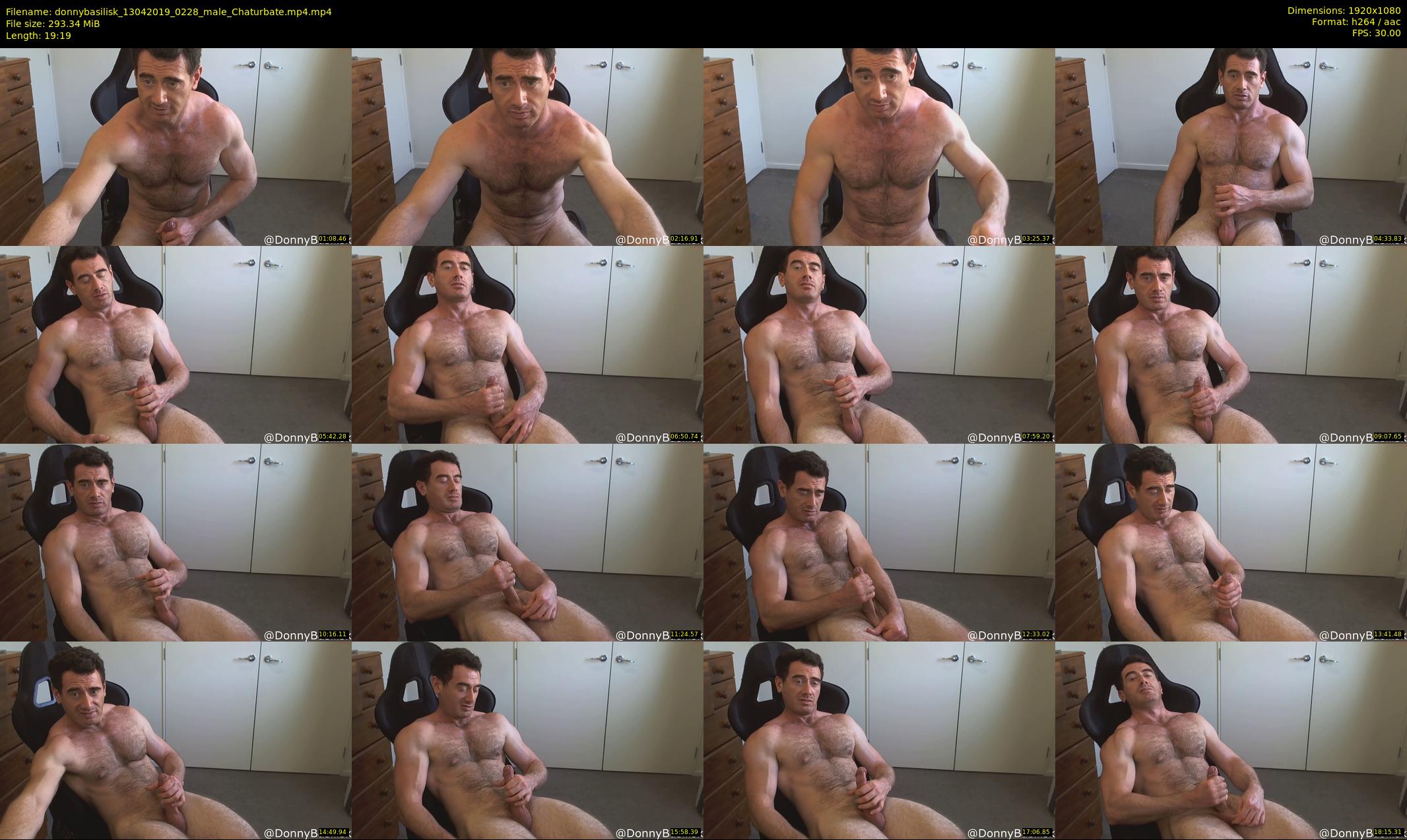 donnybasilisk — 20 minute Chaturbate male cam show recording, 1080p, Apr 13, 2019