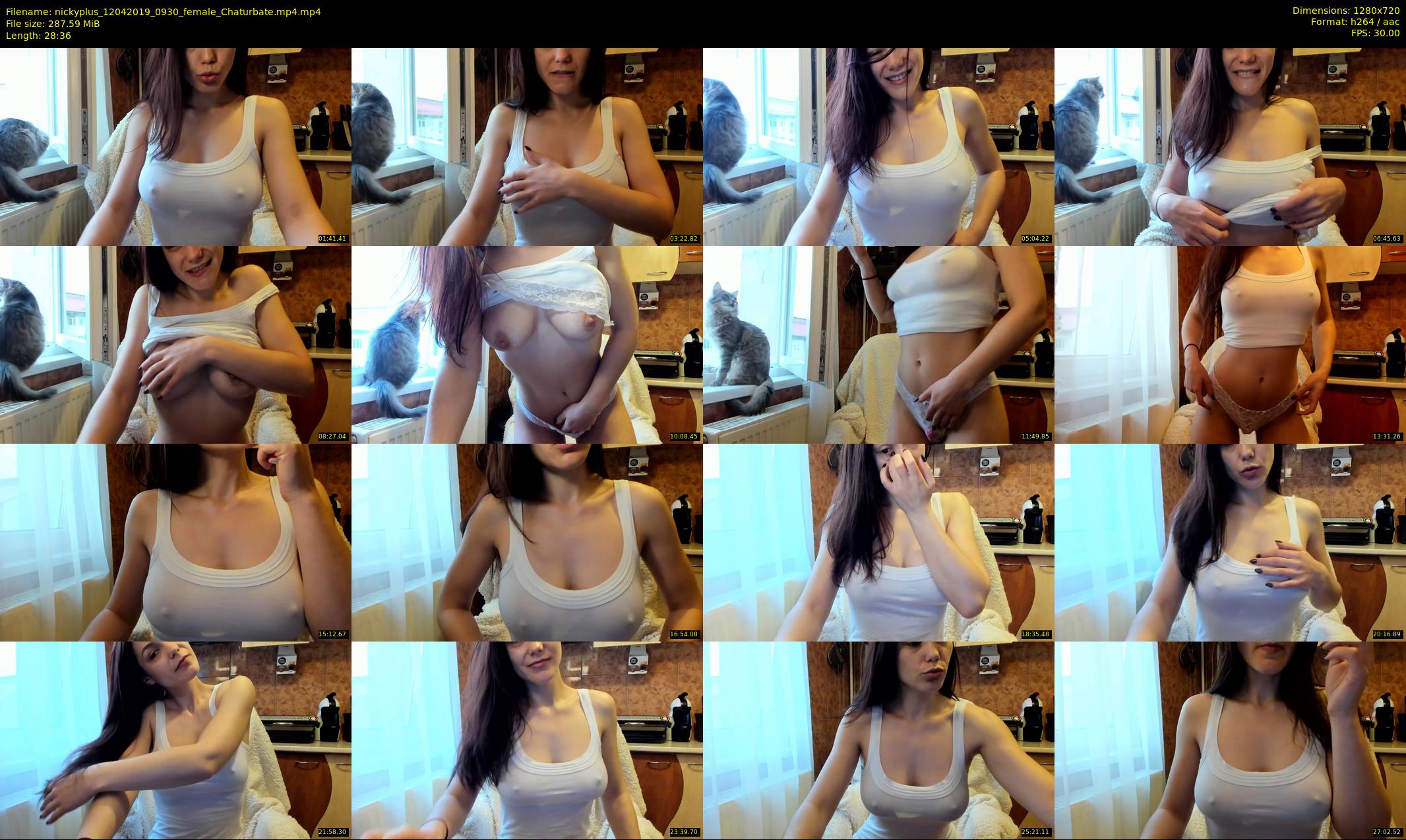 nickyplus — 29 minute Chaturbate couple cam show recording, 720p, Apr 12, 2019