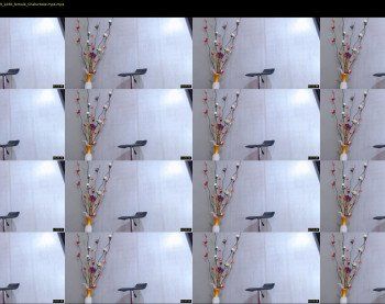 anisston_boods — 33 minute Chaturbate female cam show recording, 1080p, Apr 13, 2019