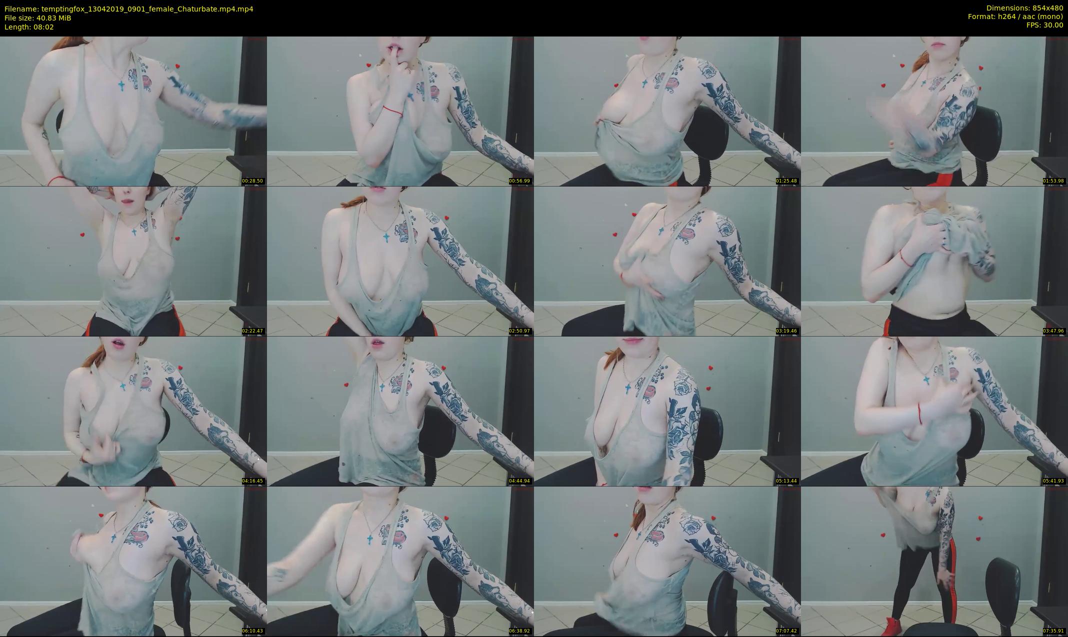 temptingfox — 9 minute Chaturbate female cam show recording, 480p, Apr 13, 2019