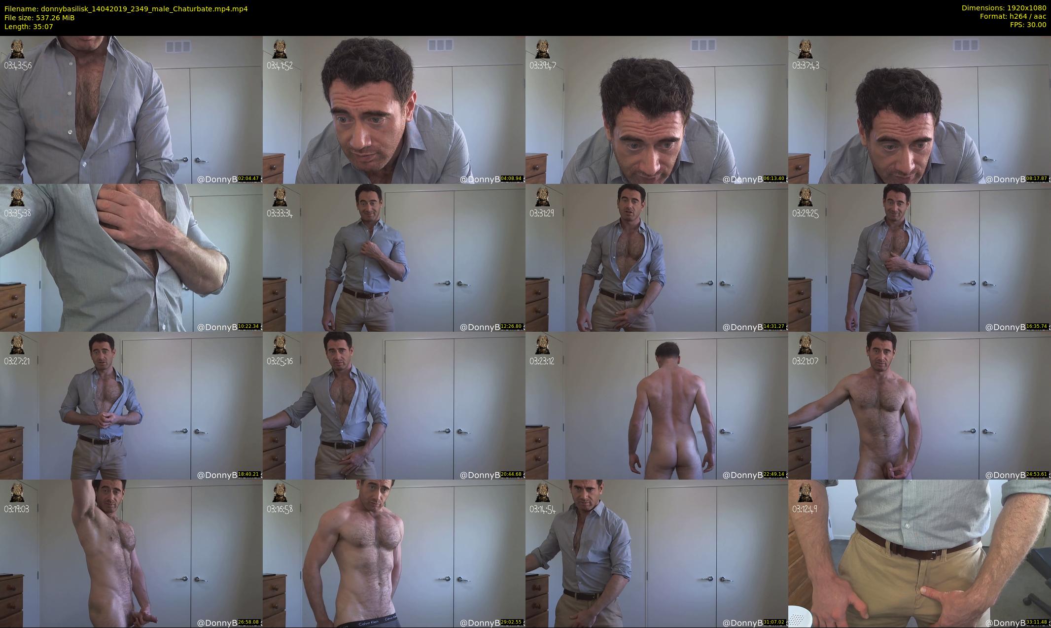 donnybasilisk — 36 minute Chaturbate male cam show recording, 1080p, Apr 14, 2019