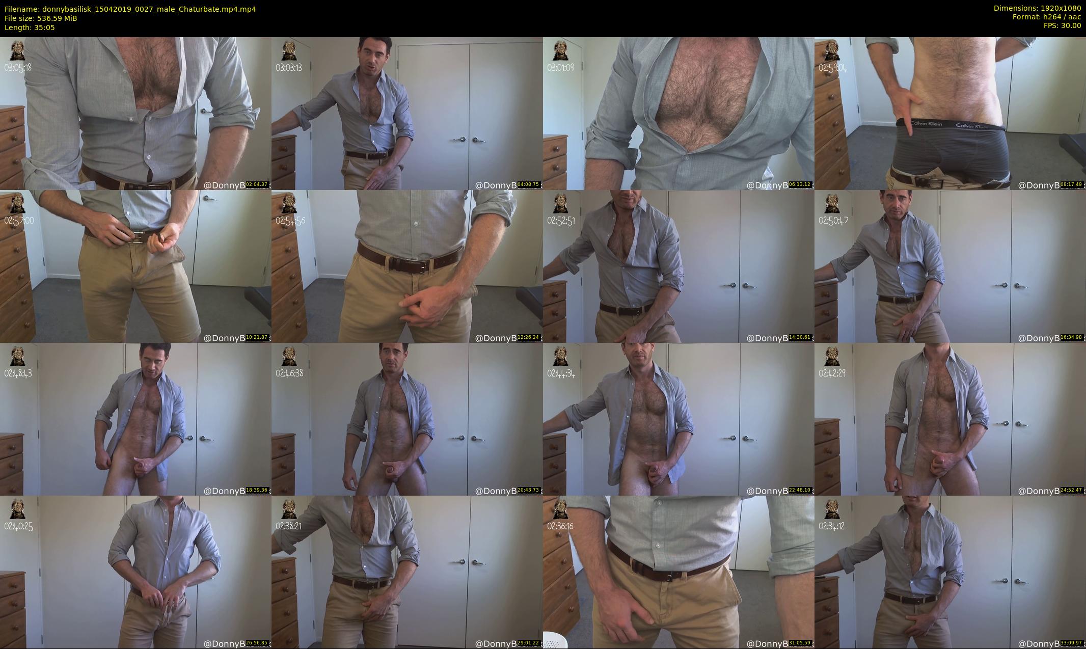 donnybasilisk — 36 minute Chaturbate male cam show recording, 1080p, Apr 15, 2019