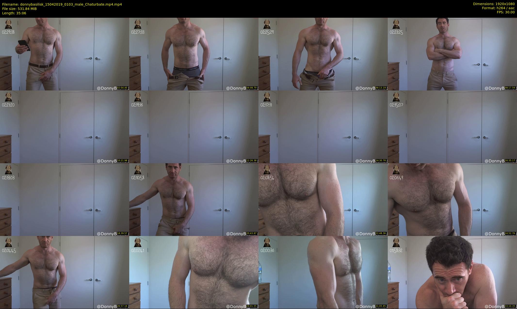 donnybasilisk — 36 minute Chaturbate male cam show recording, 1080p, Apr 15, 2019