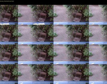 tymika — 39 minute Chaturbate female cam show recording, 720p, Apr 15, 2019