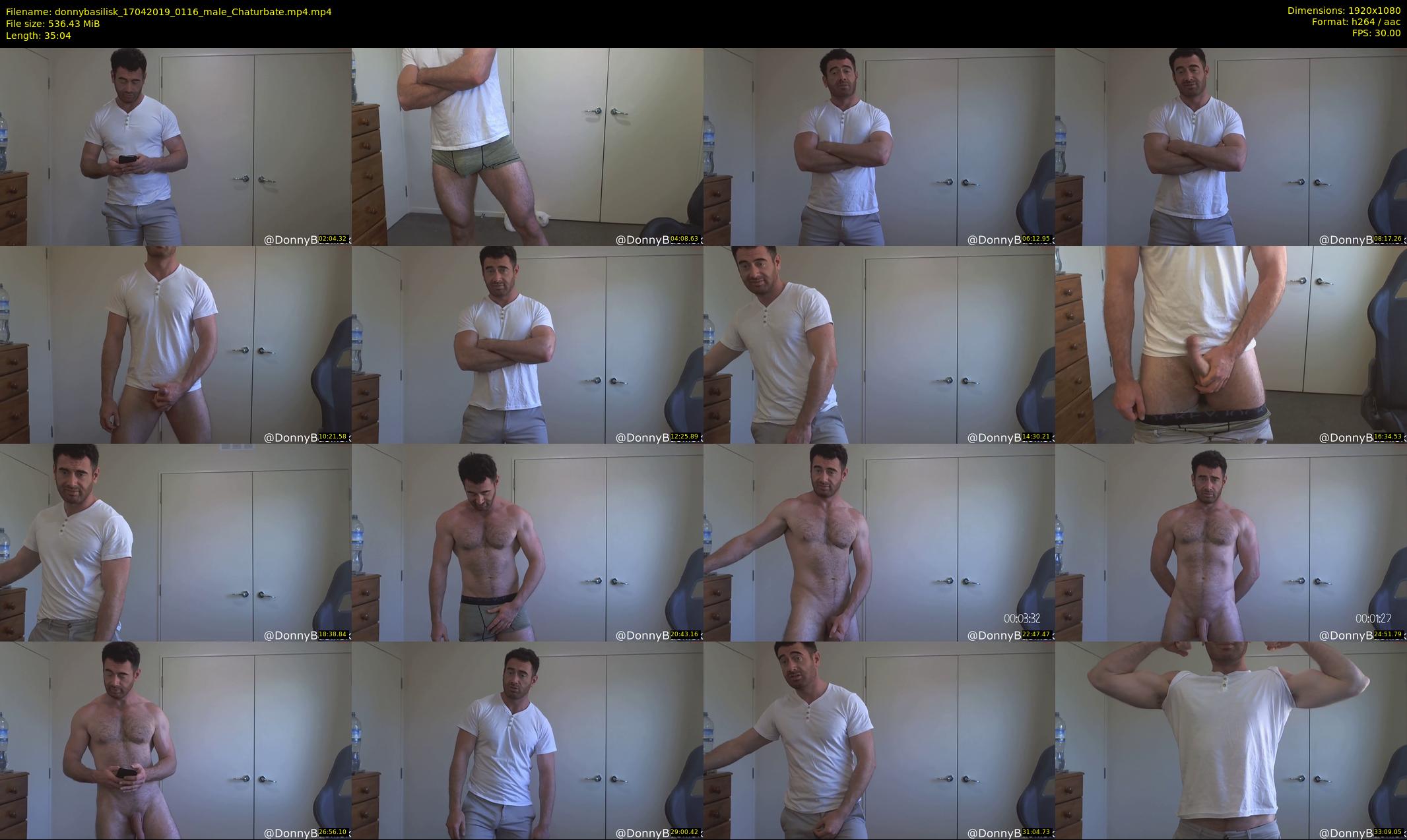 donnybasilisk — 36 minute Chaturbate male cam show recording, 1080p, Apr 17, 2019