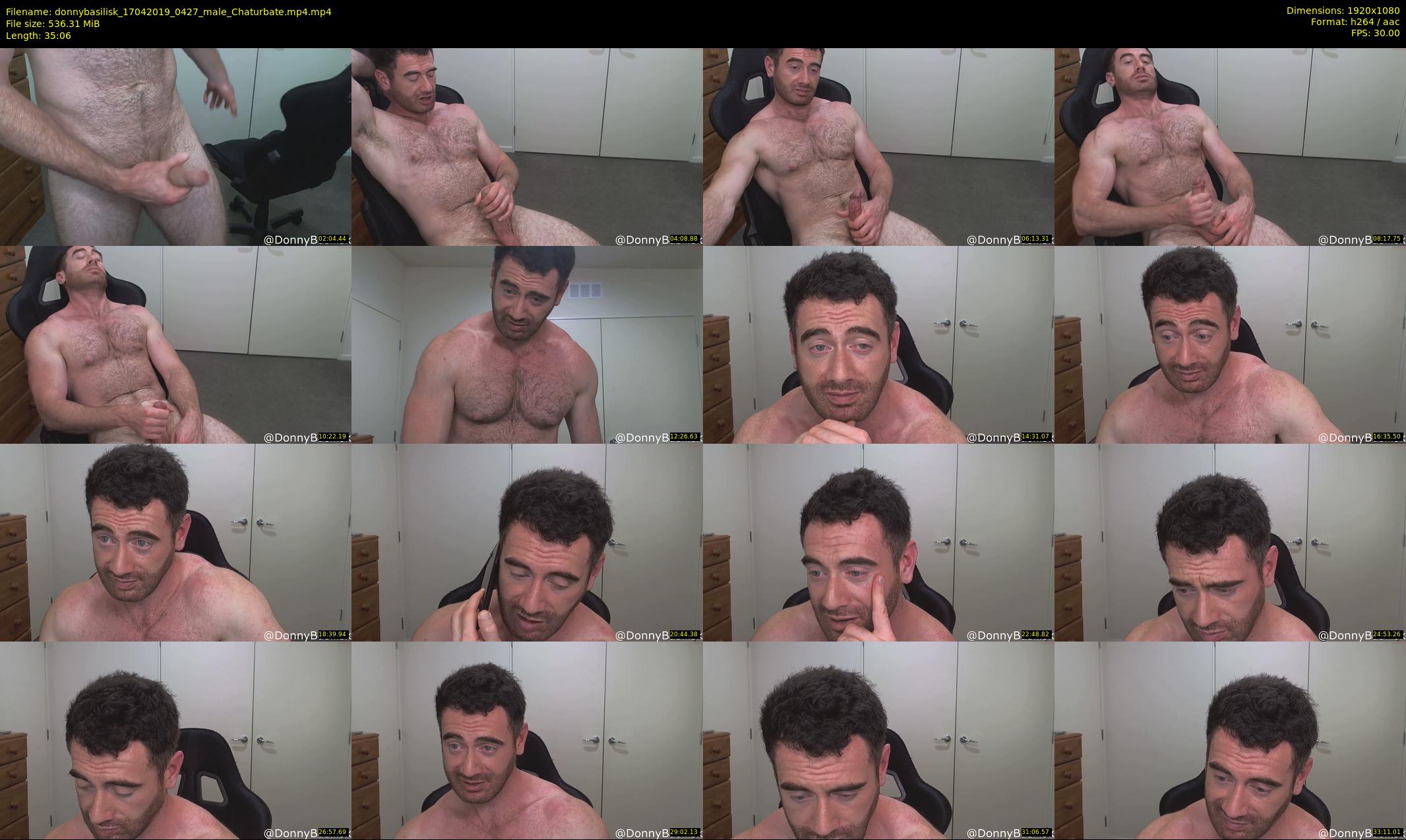 donnybasilisk — 36 minute Chaturbate male cam show recording, 1080p, Apr 17, 2019