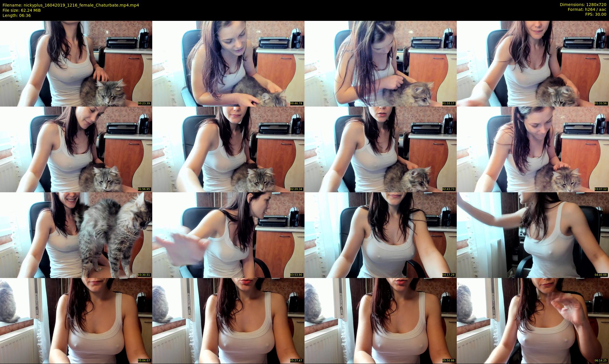 nickyplus — 7 minute Chaturbate couple cam show recording, 720p, Apr 16, 2019