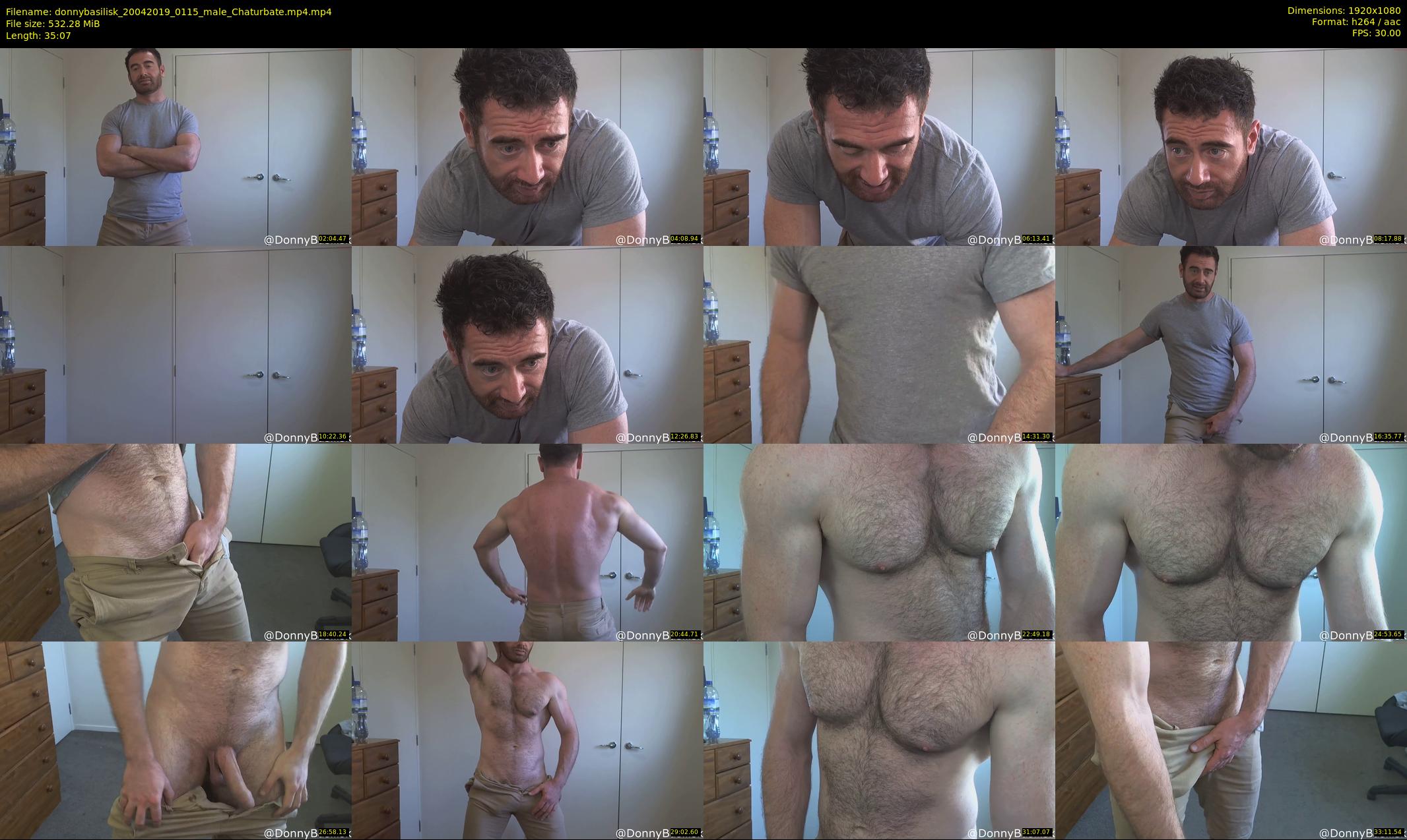 donnybasilisk — 36 minute Chaturbate male cam show recording, 1080p, Apr 20, 2019