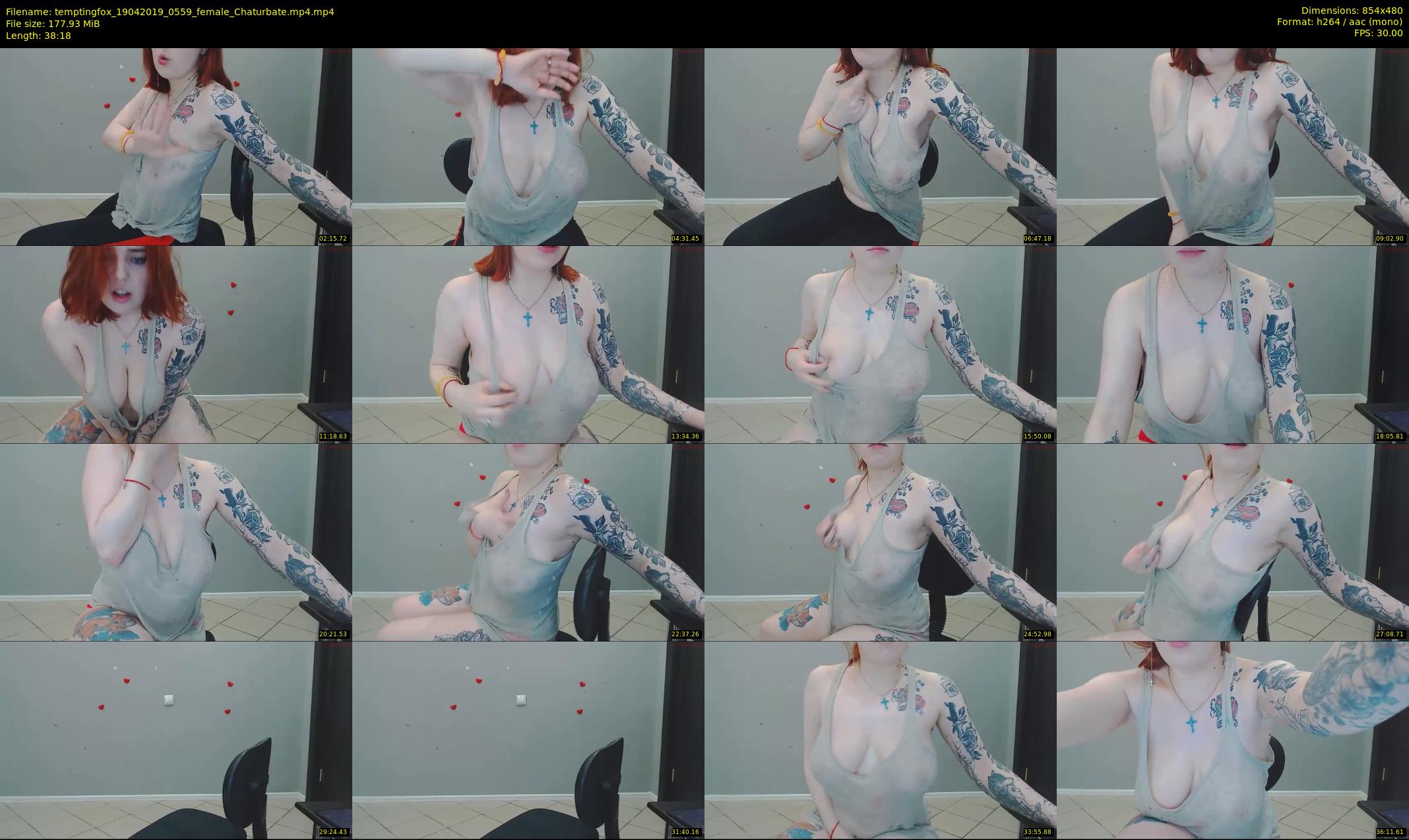 temptingfox — 39 minute Chaturbate female cam show recording, 480p, Apr 19, 2019