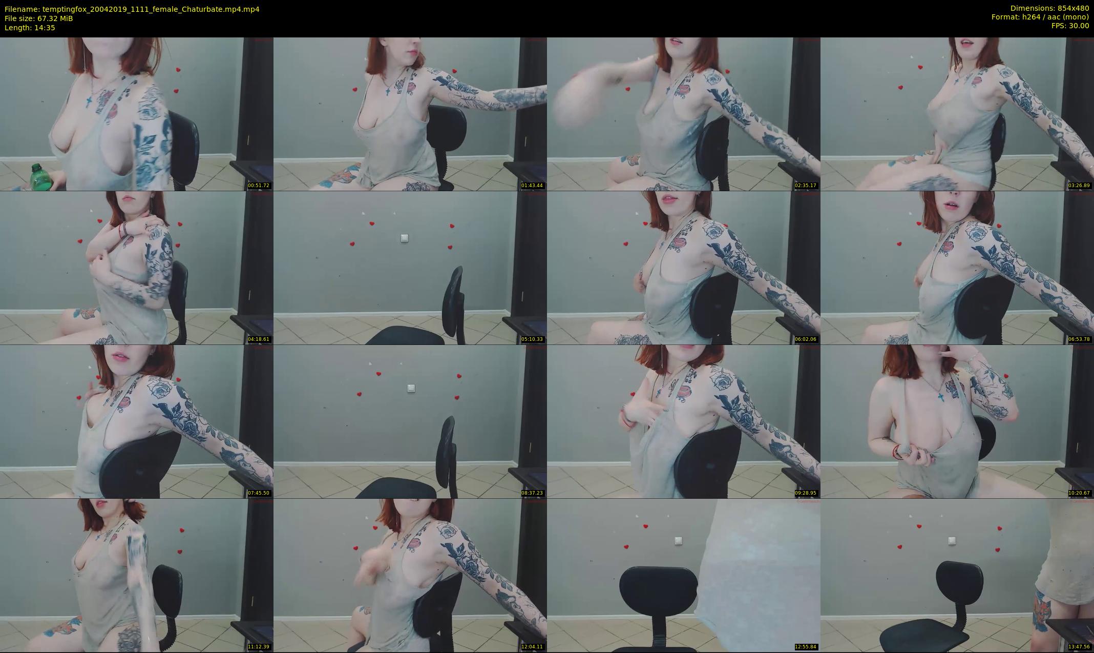 temptingfox — 15 minute Chaturbate female cam show recording, 480p, Apr 20, 2019