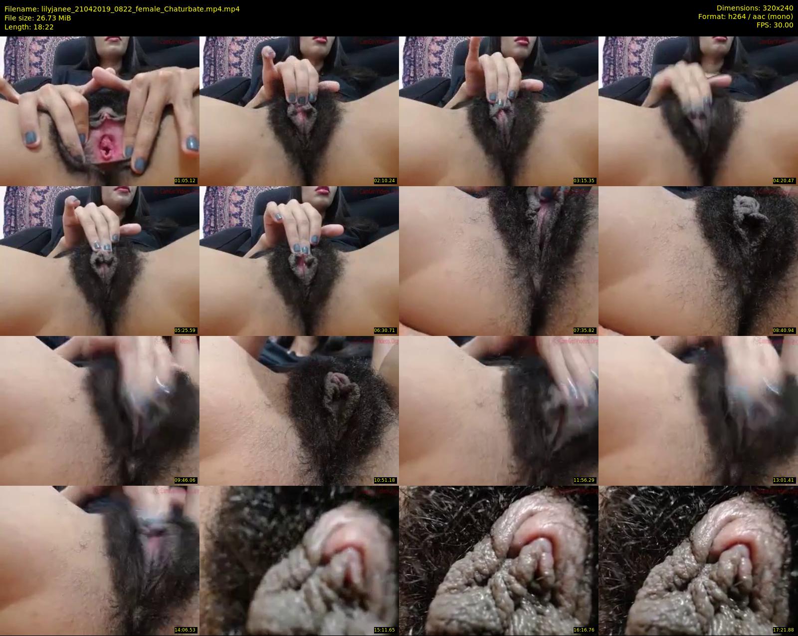 lilyjanee — 19 minute Chaturbate female cam show recording, SD, Apr 21, 2019