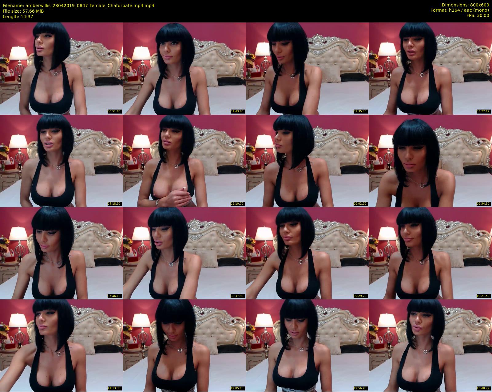 amberwillis — 15 minute Chaturbate female cam show recording, 480p, Apr 23, 2019