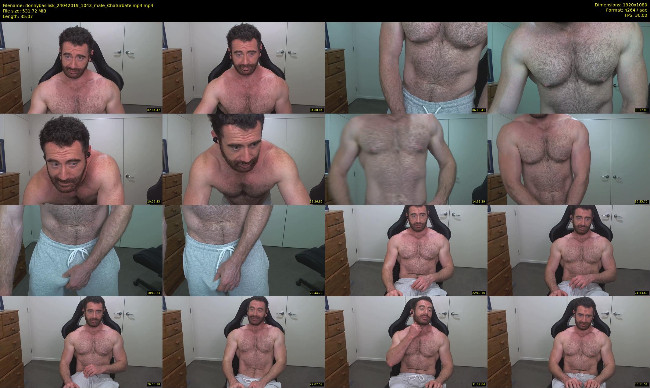 donnybasilisk — 36 minute Chaturbate male cam show recording, 1080p, Apr 24, 2019