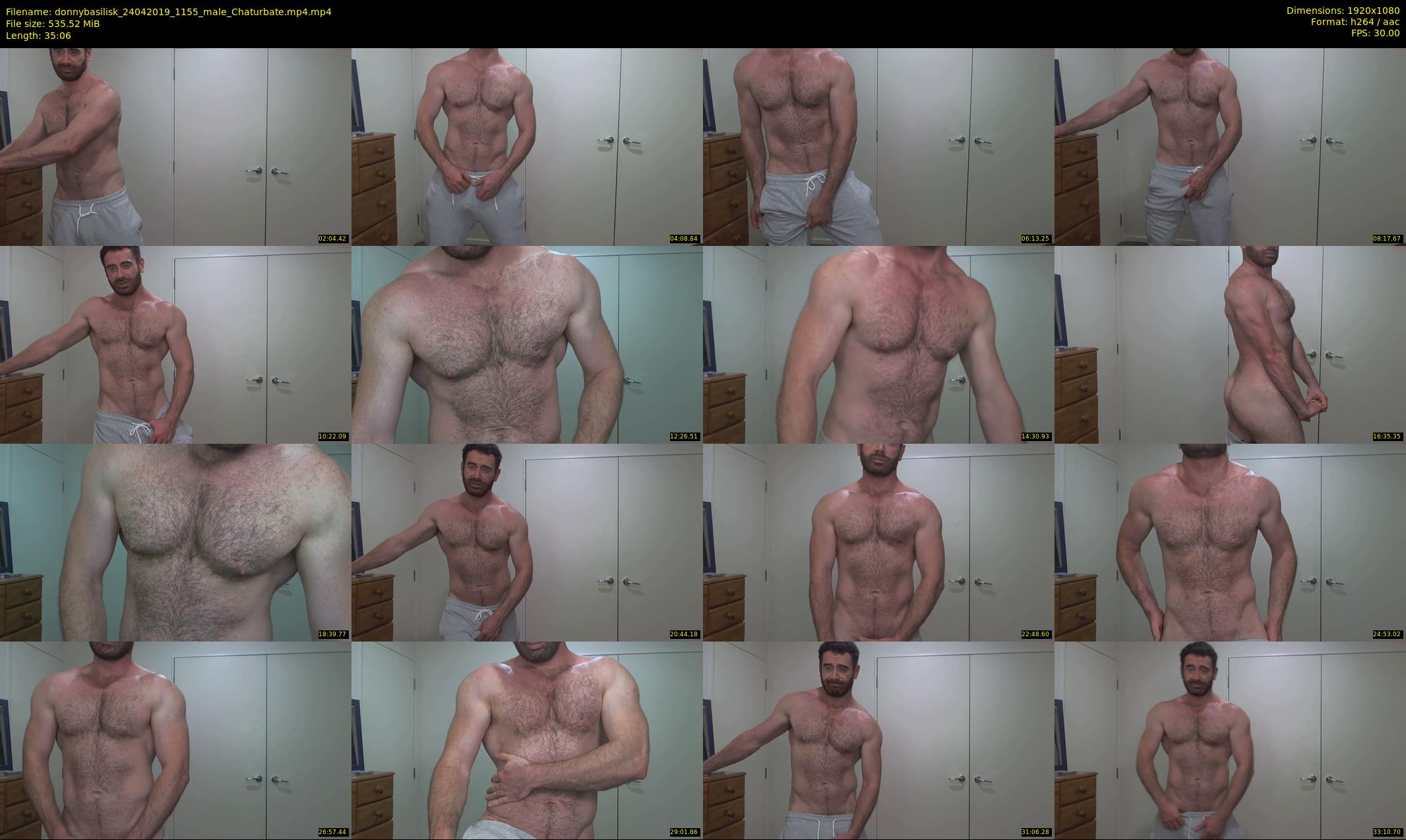 donnybasilisk — 36 minute Chaturbate male cam show recording, 1080p, Apr 24, 2019
