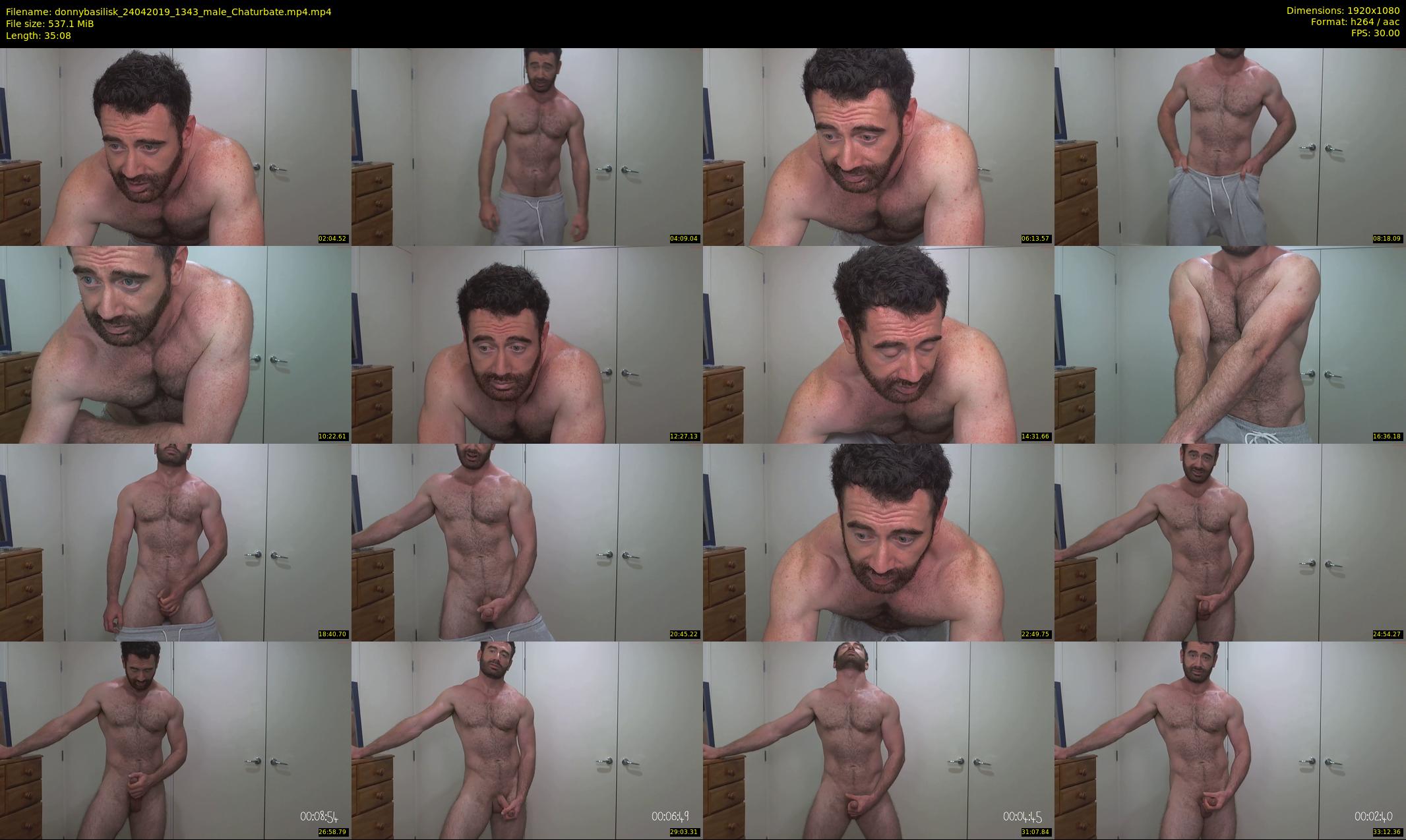 donnybasilisk — 36 minute Chaturbate male cam show recording, 1080p, Apr 24, 2019