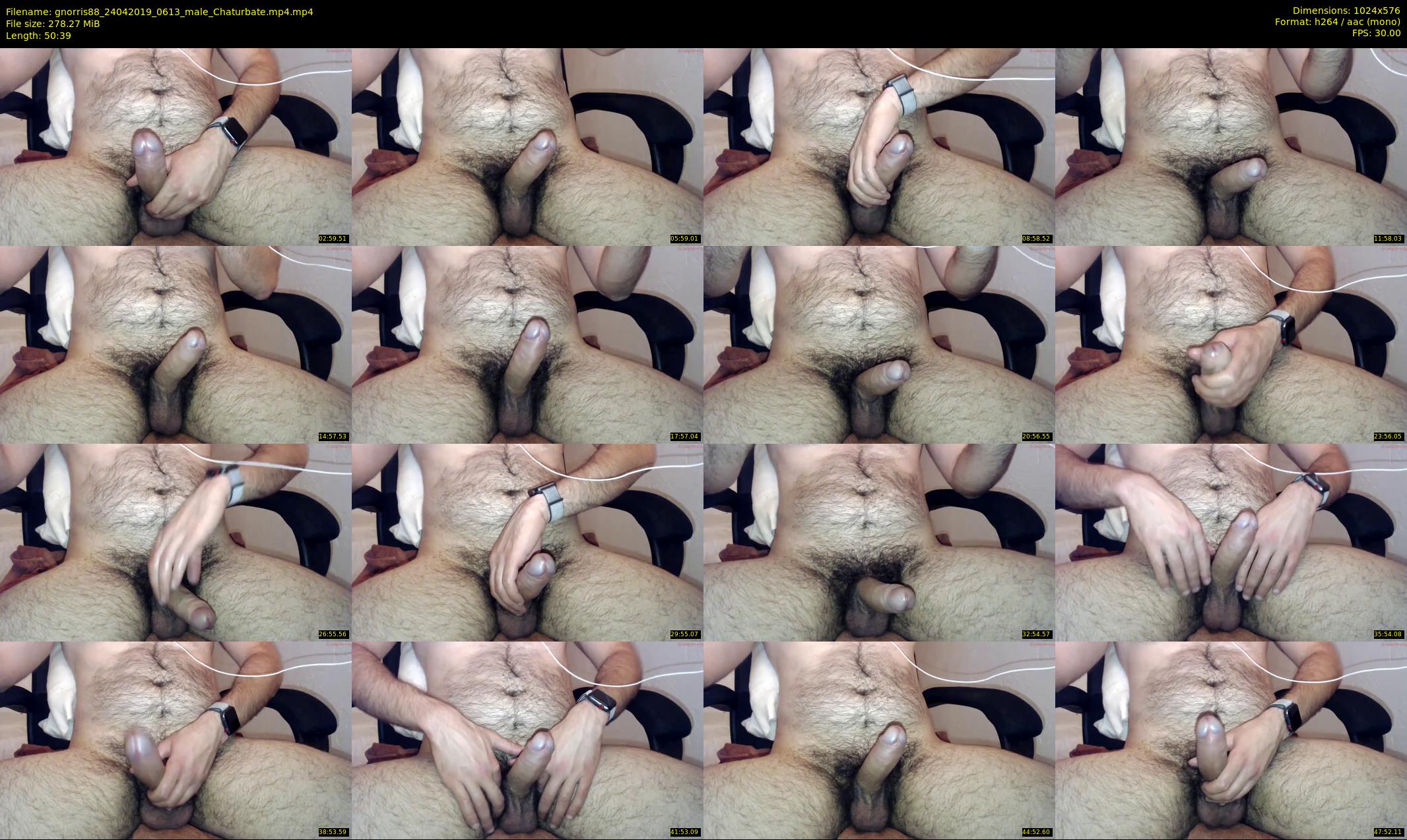 gnorris88 — 51 minute Chaturbate male cam show recording, 480p, Apr 24, 2019
