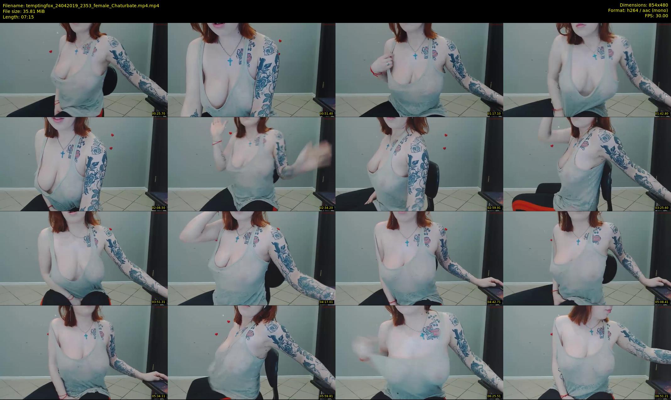 temptingfox — 8 minute Chaturbate female cam show recording, 480p, Apr 24, 2019