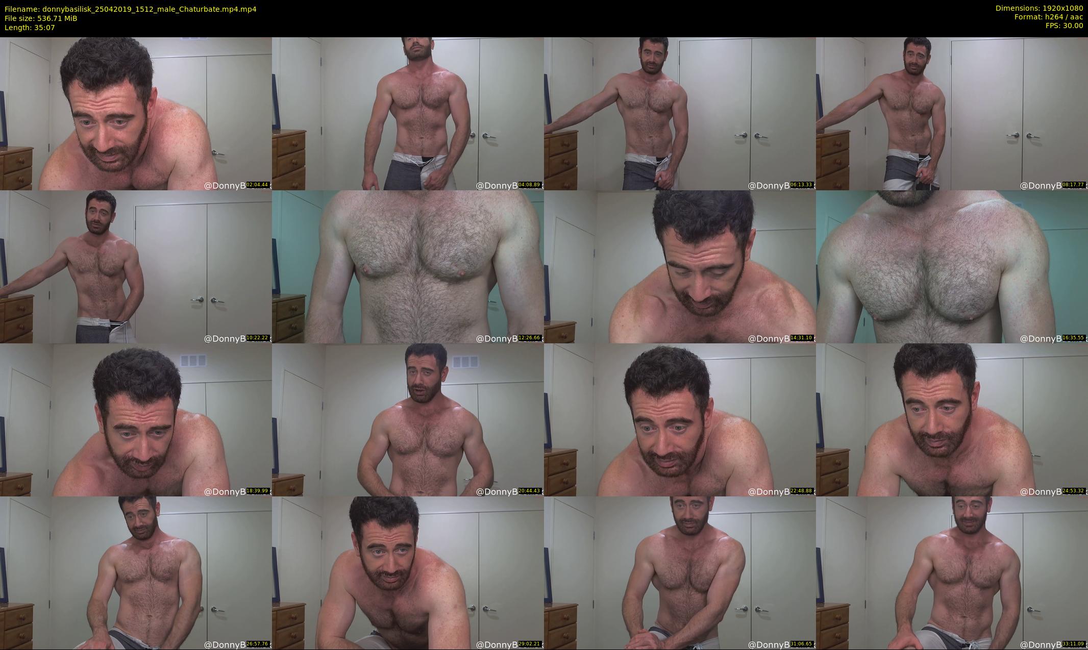 donnybasilisk — 36 minute Chaturbate male cam show recording, 1080p, Apr 25, 2019