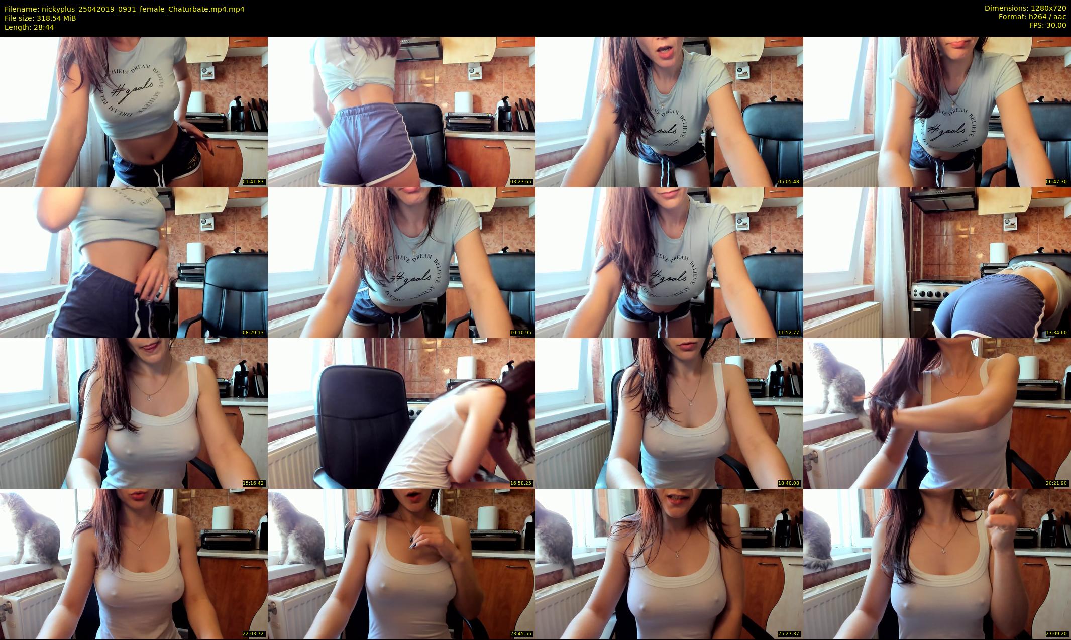 nickyplus — 29 minute Chaturbate couple cam show recording, 720p, Apr 25, 2019