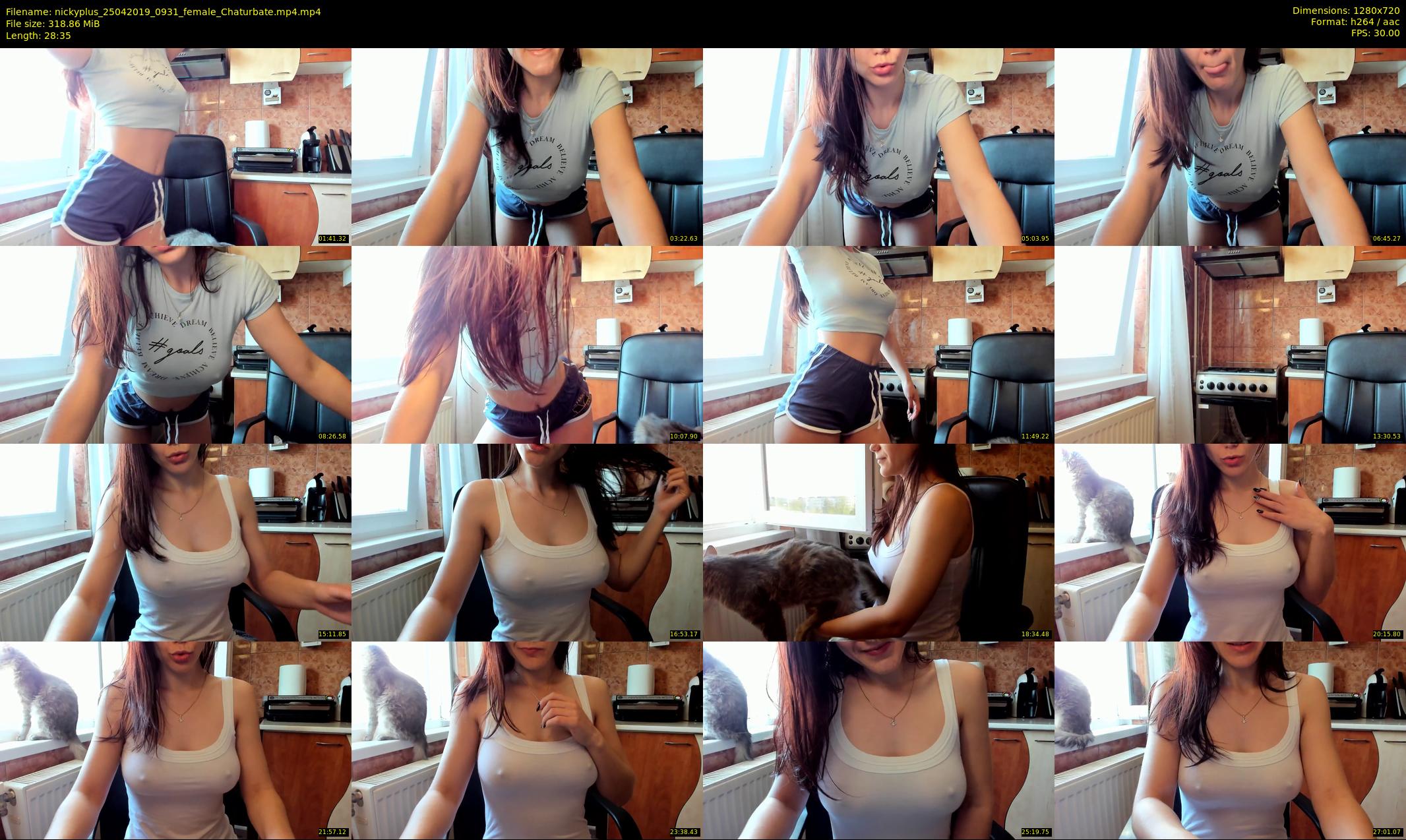 nickyplus — 29 minute Chaturbate couple cam show recording, 720p, Apr 25, 2019