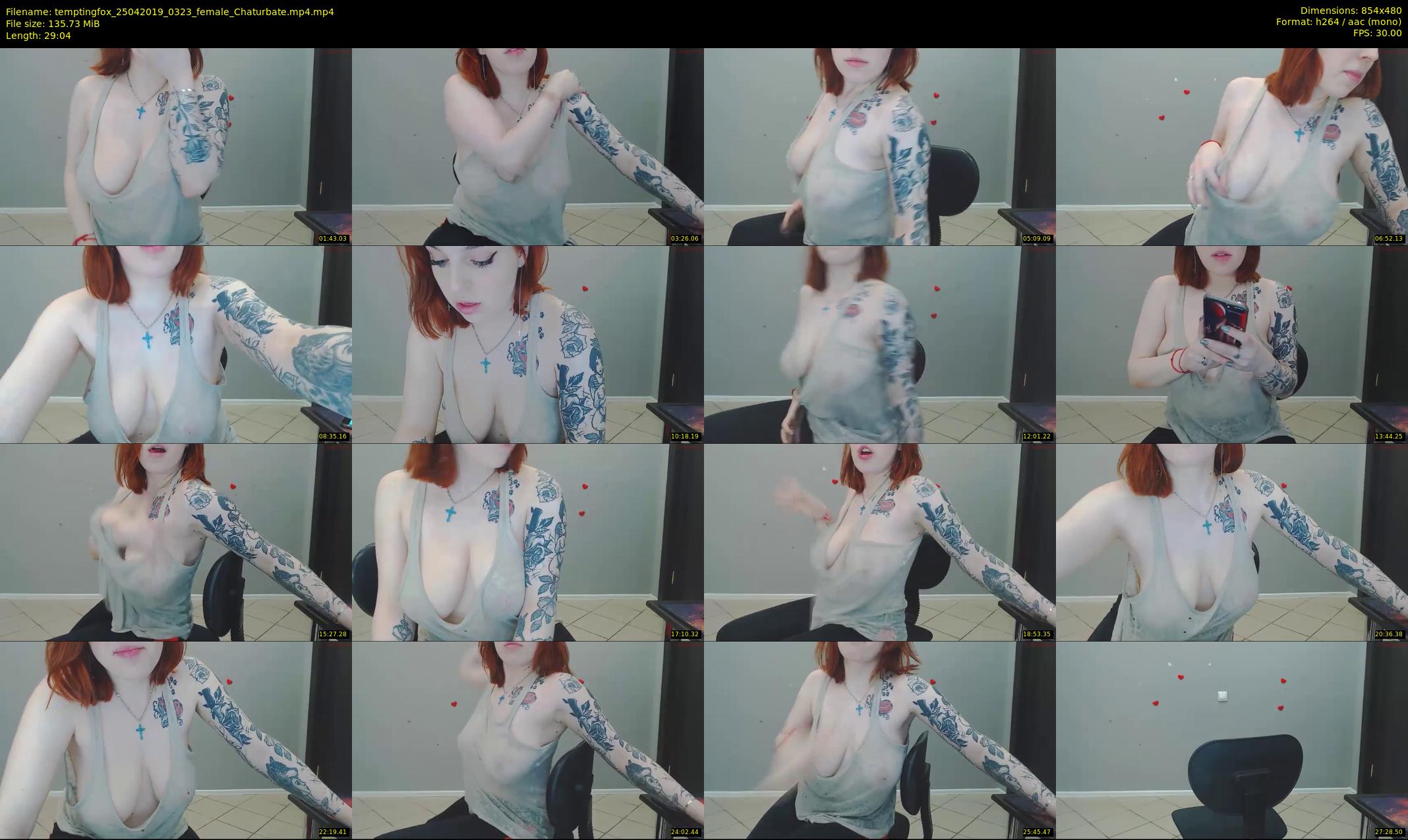 temptingfox — 30 minute Chaturbate female cam show recording, 480p, Apr 25, 2019