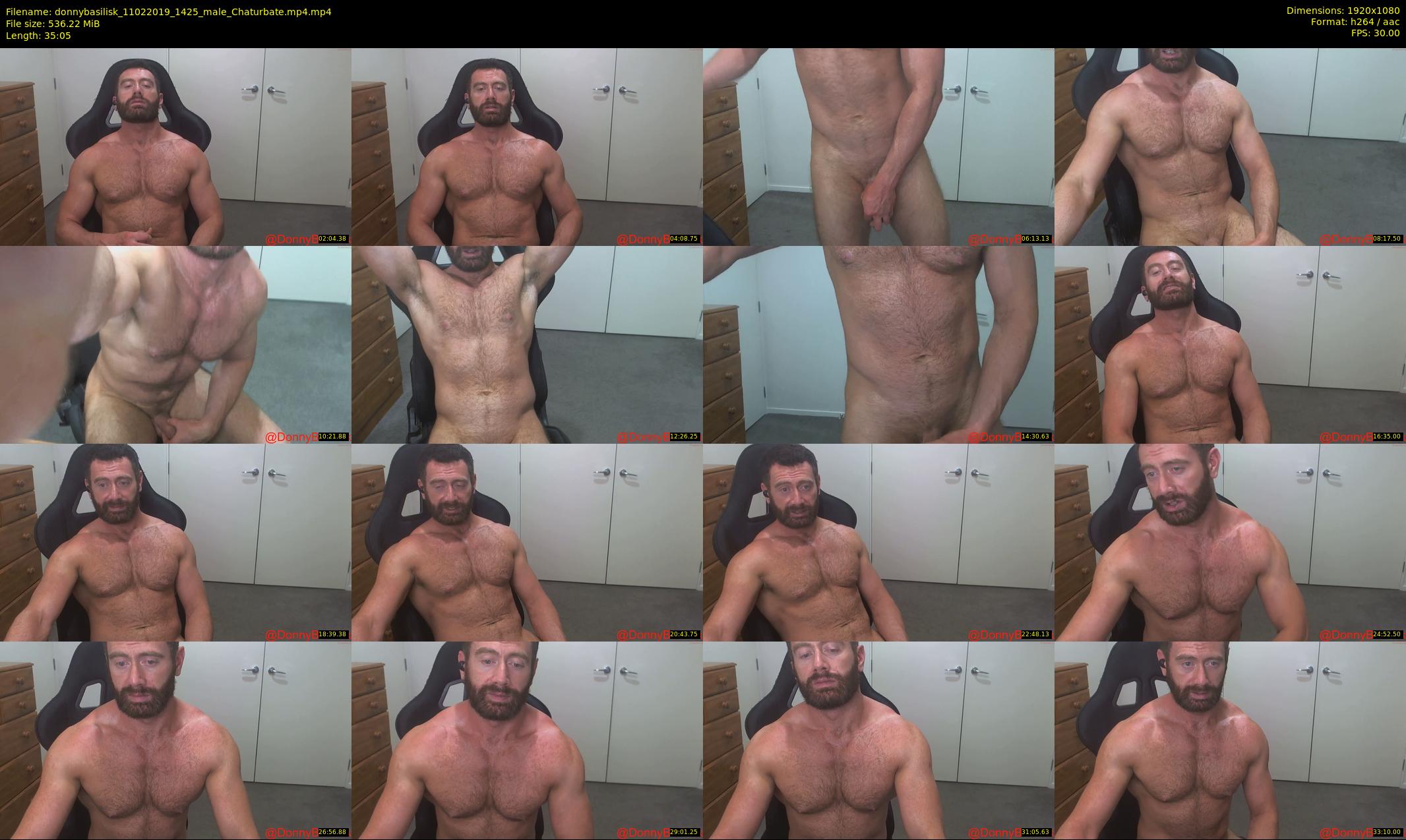 donnybasilisk — 36 minute Chaturbate male cam show recording, 1080p, Feb 11, 2019
