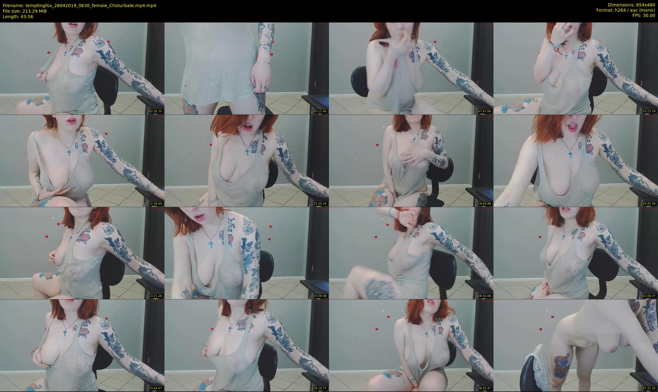 temptingfox — 44 minute Chaturbate female cam show recording, 480p, Apr 26, 2019