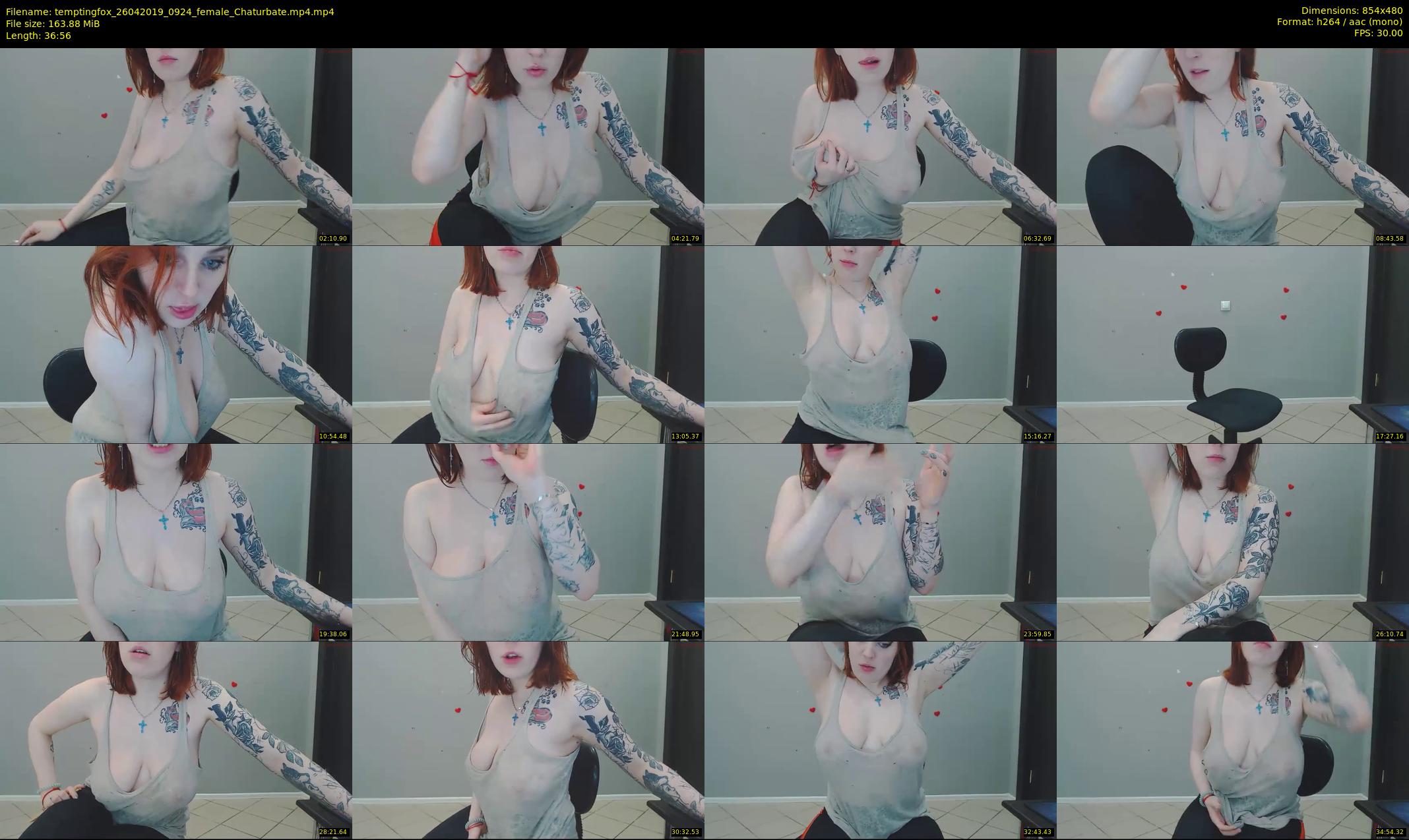 temptingfox — 37 minute Chaturbate female cam show recording, 480p, Apr 26, 2019