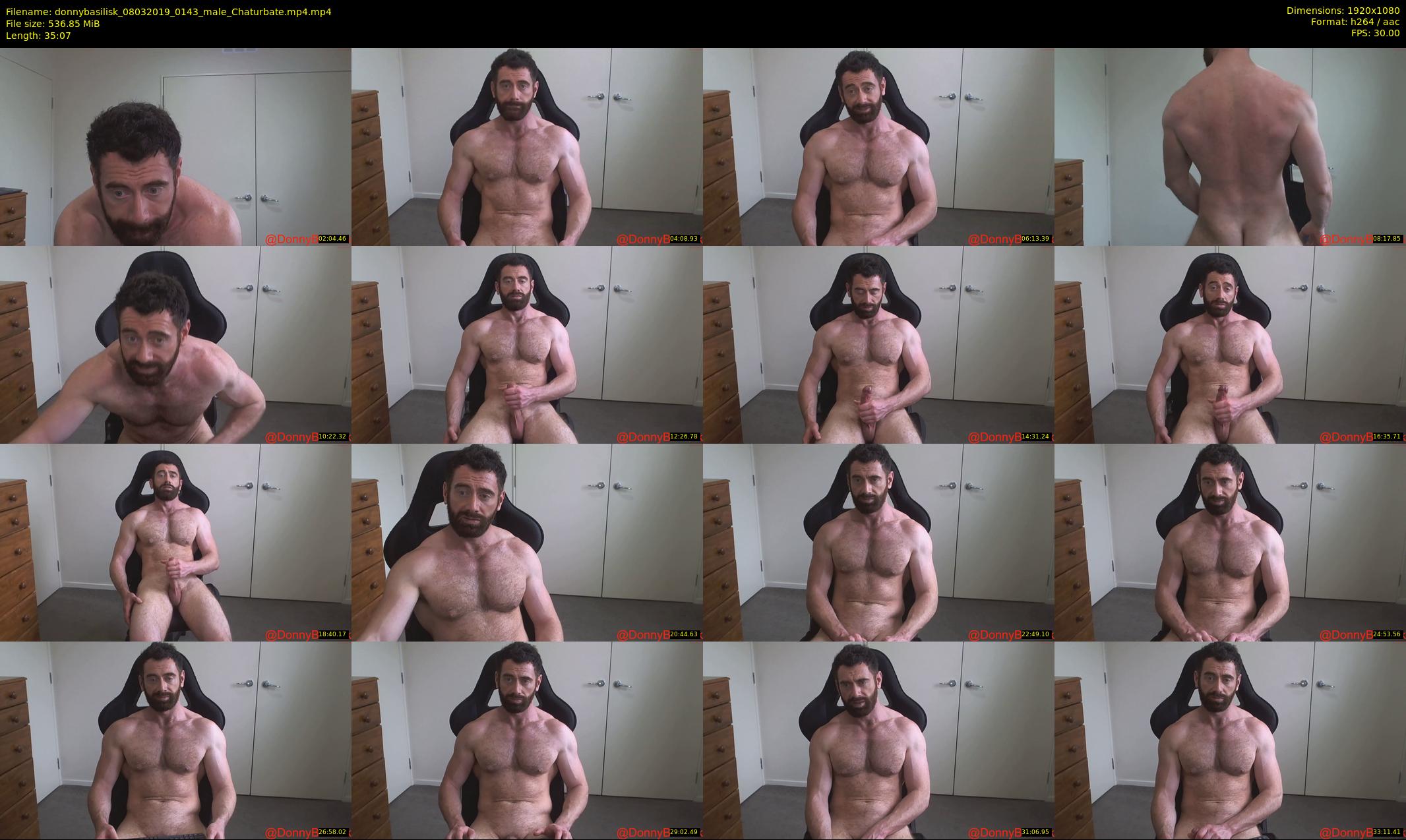 donnybasilisk — 36 minute Chaturbate male cam show recording, 1080p, Mar 8, 2019