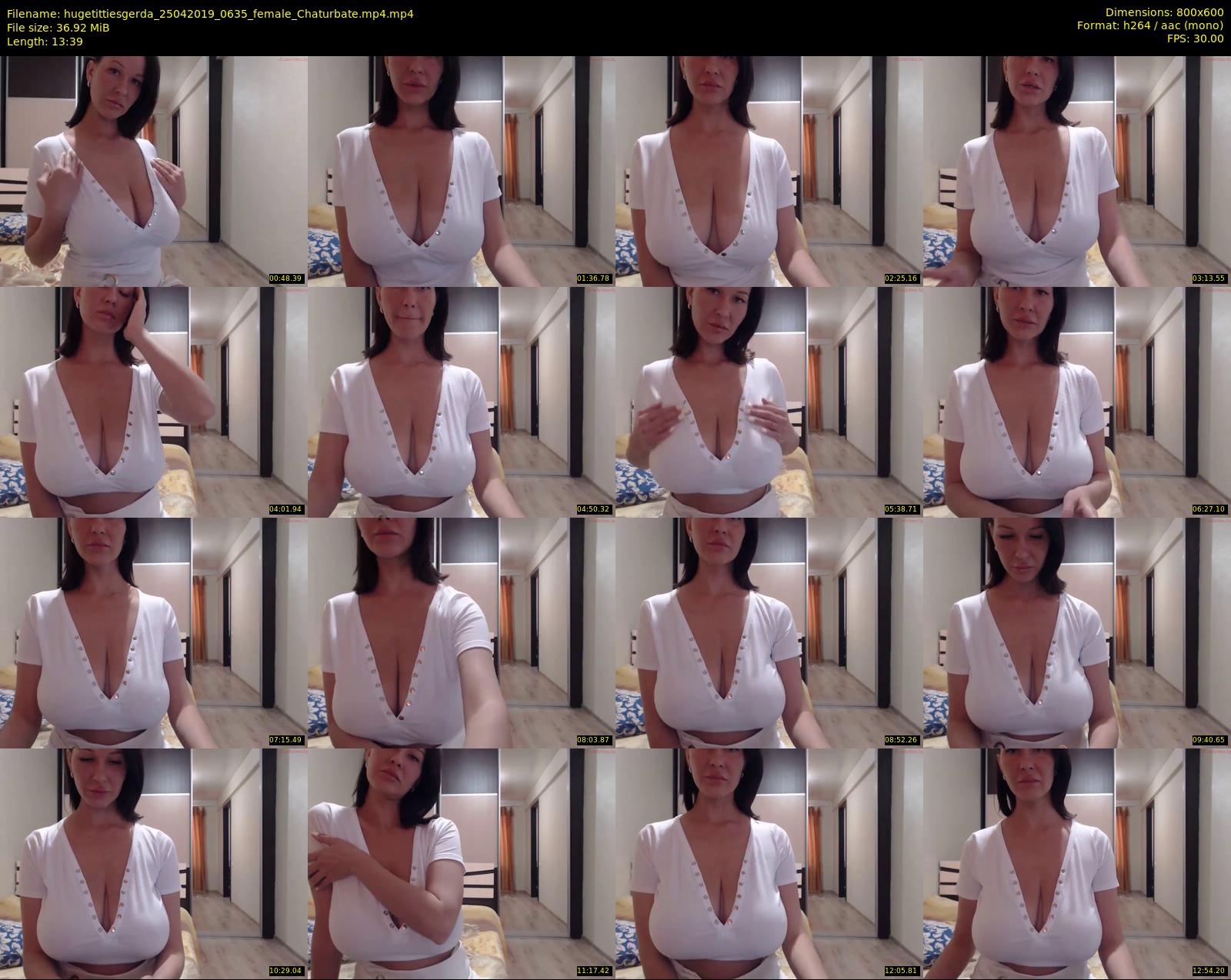 hugetittiesgerda — 14 minute Chaturbate female cam show recording, 480p, Apr 25, 2019