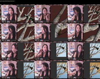 alizezaide — 23 minute Chaturbate female cam show recording, 720p, Apr 30, 2019