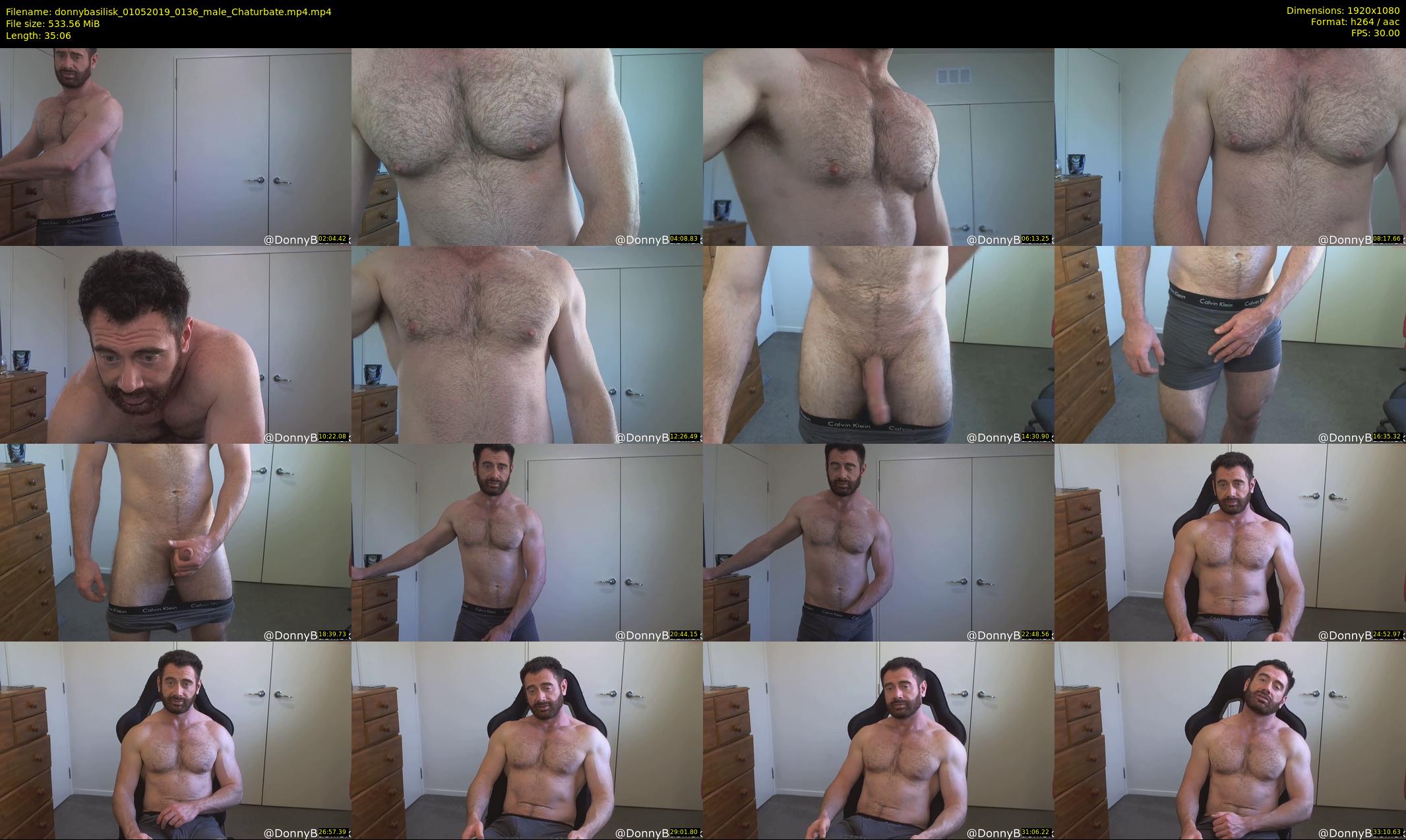 donnybasilisk — 36 minute Chaturbate male cam show recording, 1080p, May 1, 2019