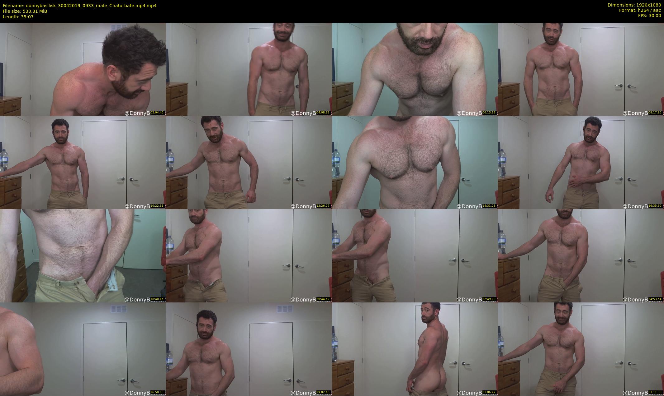 donnybasilisk — 36 minute Chaturbate male cam show recording, 1080p, Apr 30, 2019