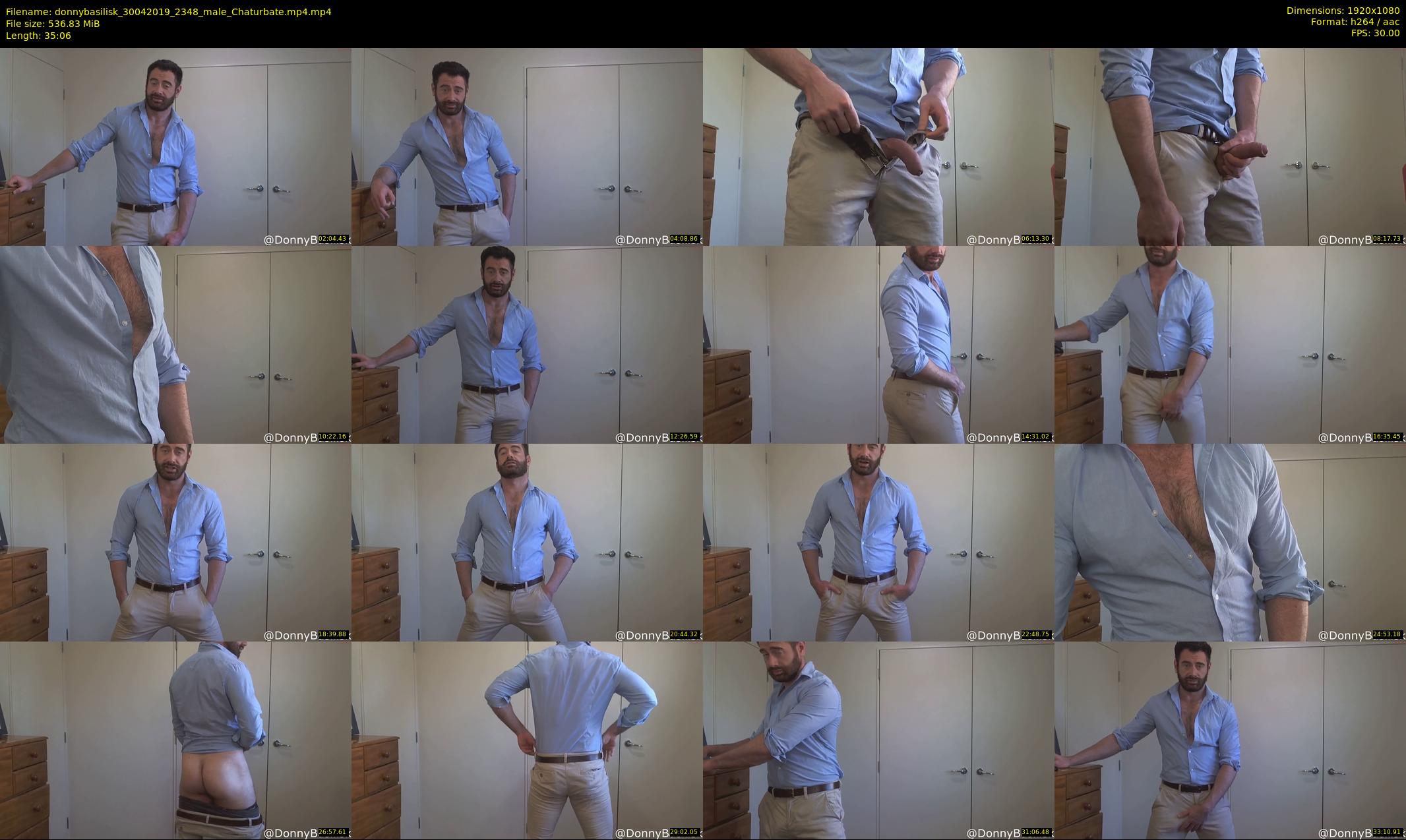 donnybasilisk — 36 minute Chaturbate male cam show recording, 1080p, Apr 30, 2019