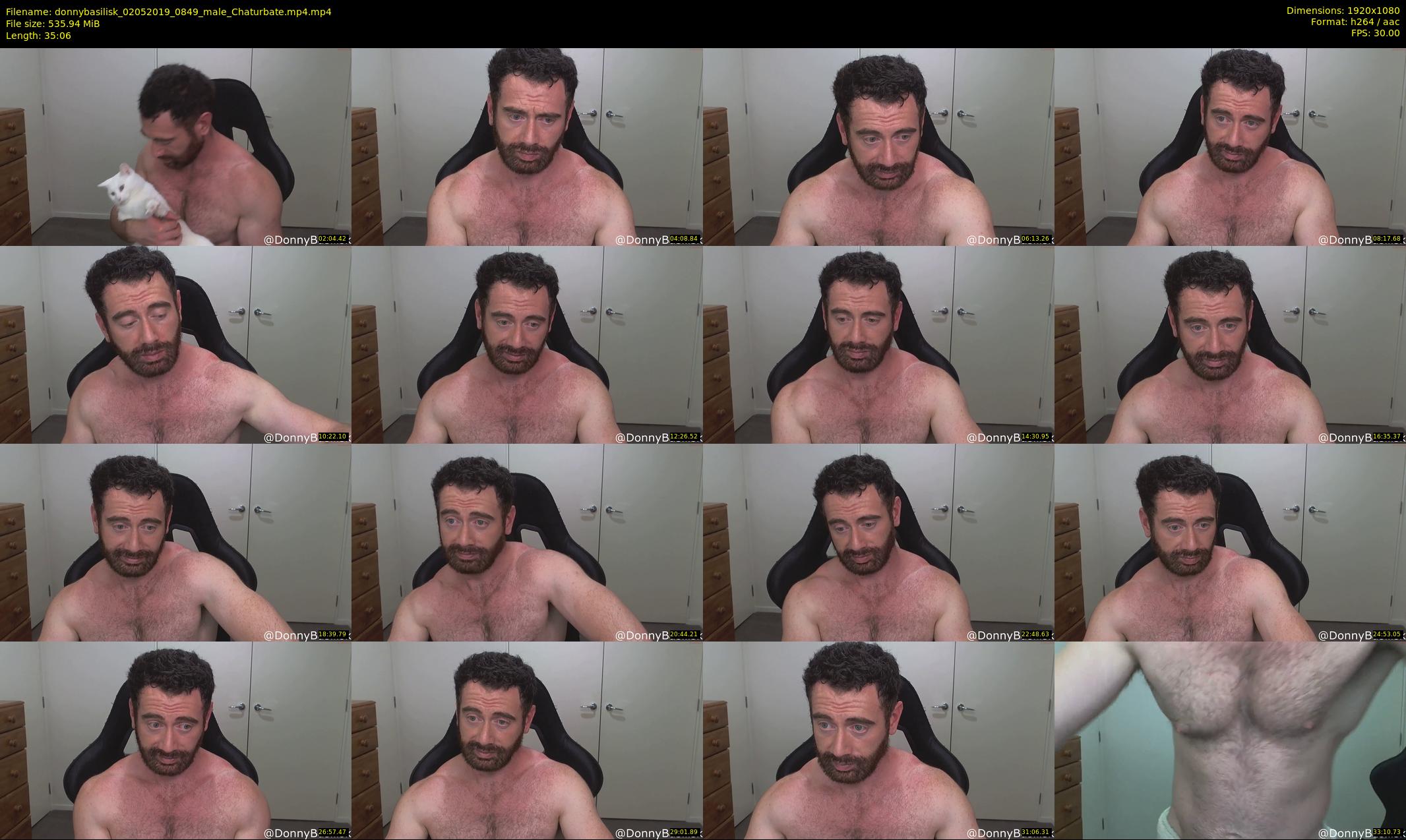 donnybasilisk — 36 minute Chaturbate male cam show recording, 1080p, May 2, 2019