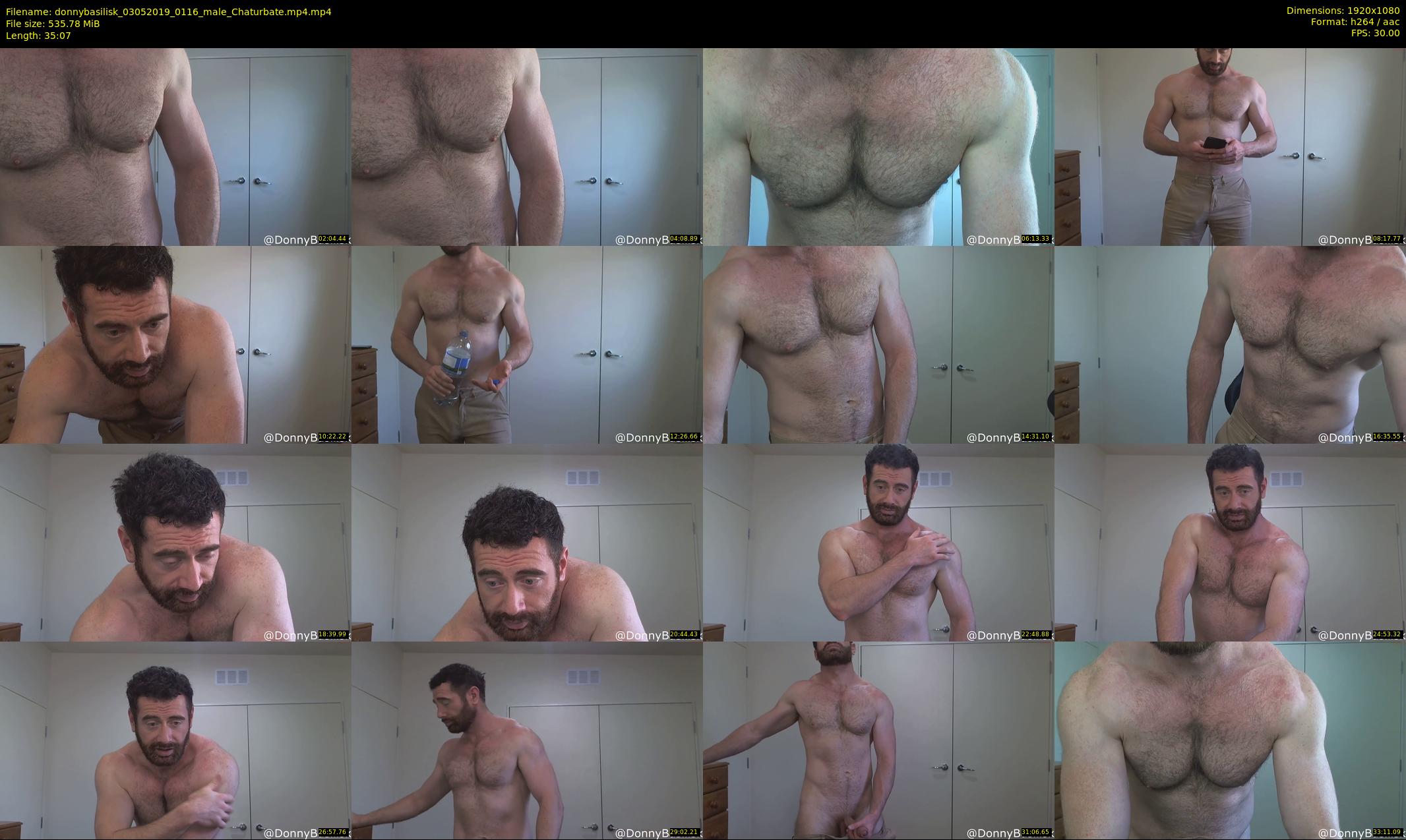 donnybasilisk — 36 minute Chaturbate male cam show recording, 1080p, May 3, 2019