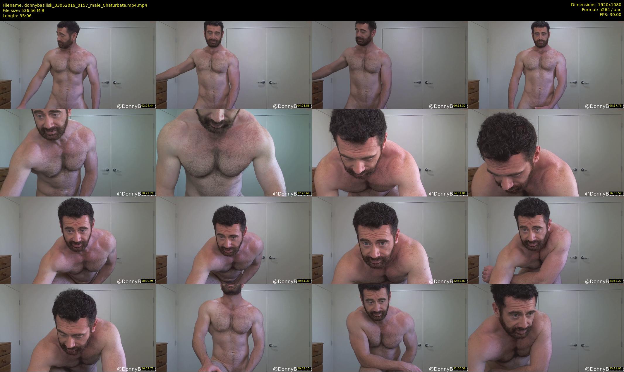 donnybasilisk — 36 minute Chaturbate male cam show recording, 1080p, May 3, 2019
