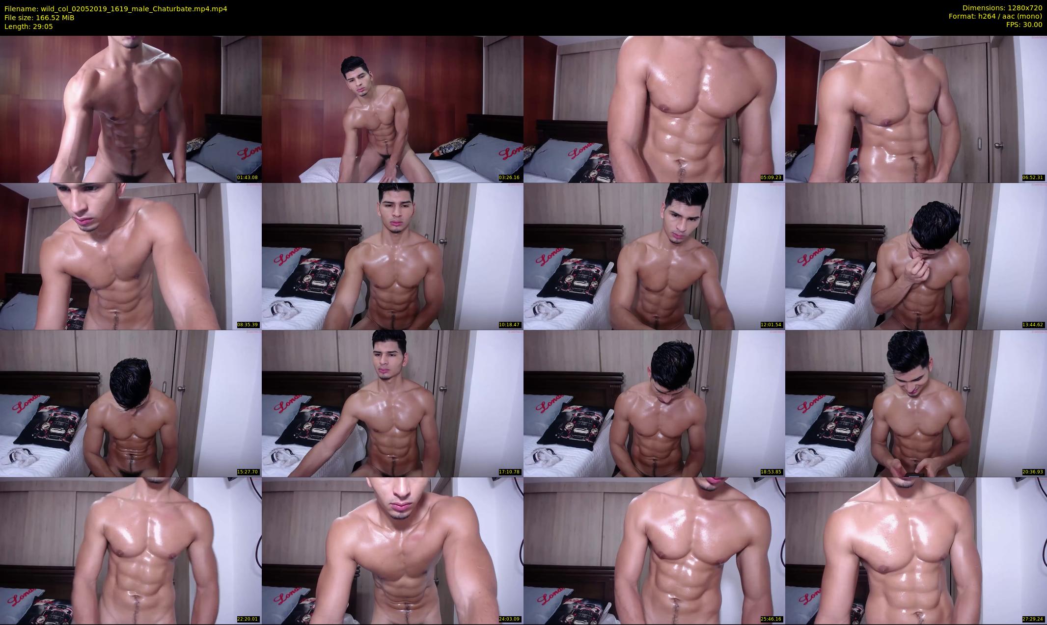 wild_col — 30 minute Chaturbate male cam show recording, 720p, May 2, 2019